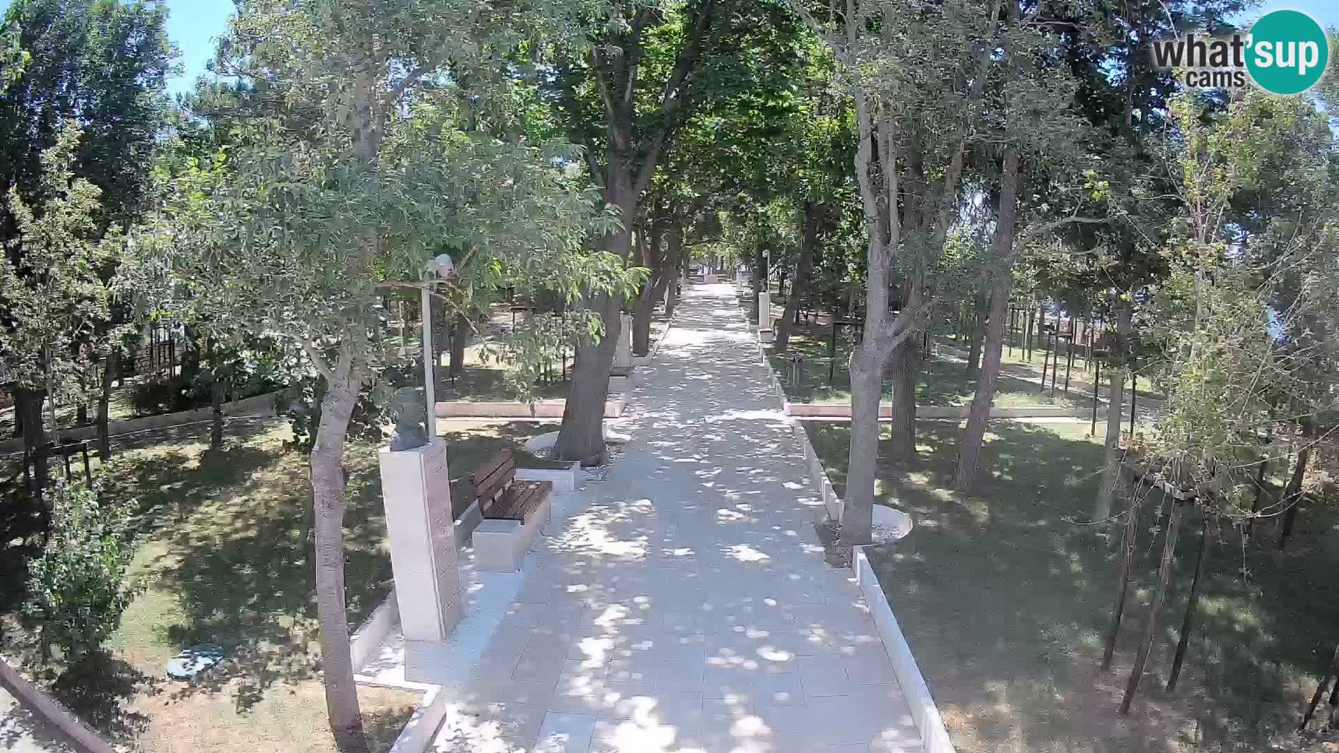 Webcam Parco degli Scrittori Segna – Diretta sul Mare
