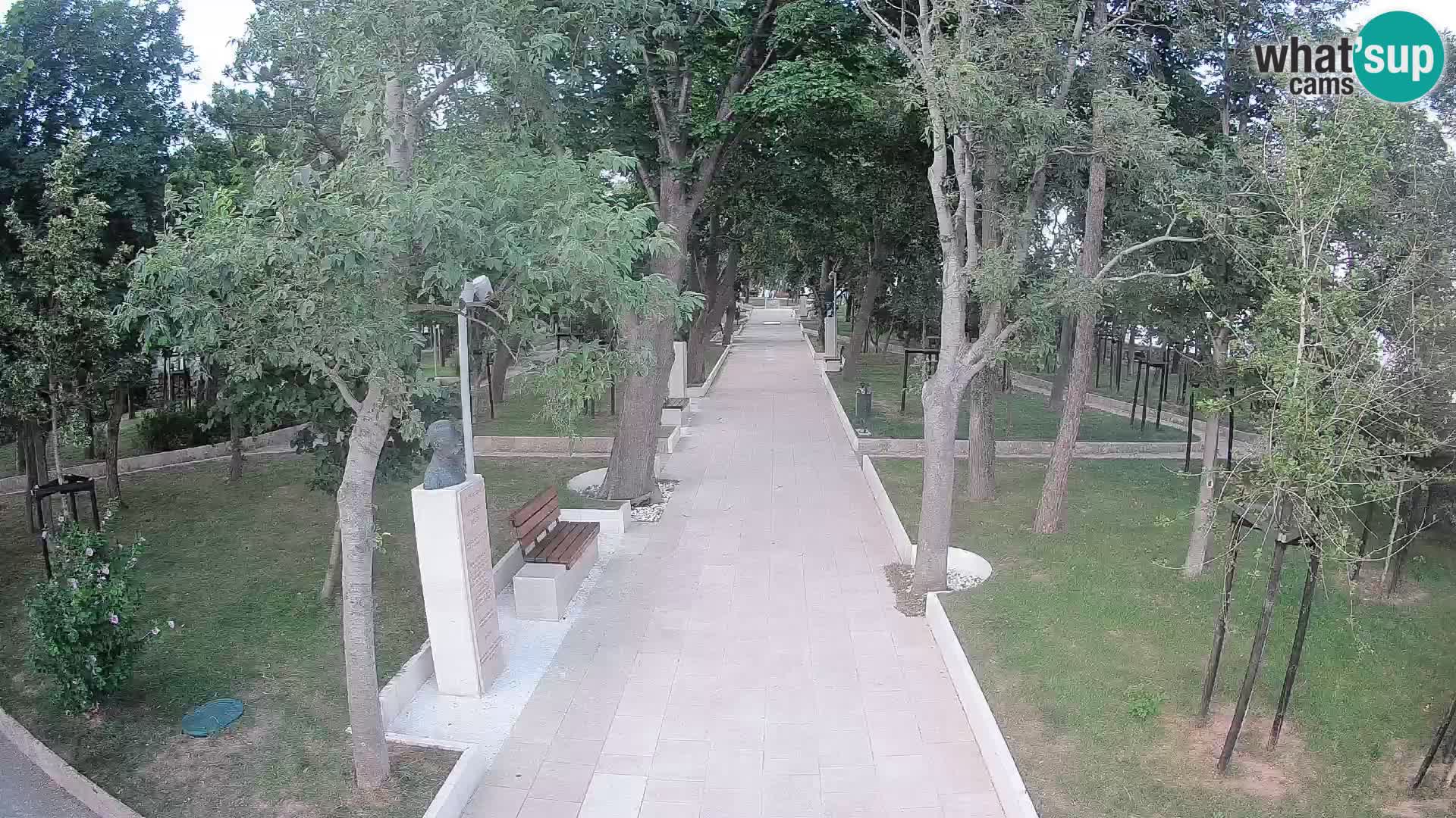 Webcam Parco degli Scrittori Segna – Diretta sul Mare