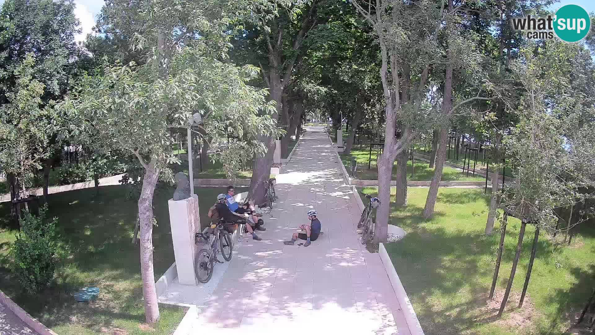 Webcam Schriftstellerpark Senj – Live am Meer