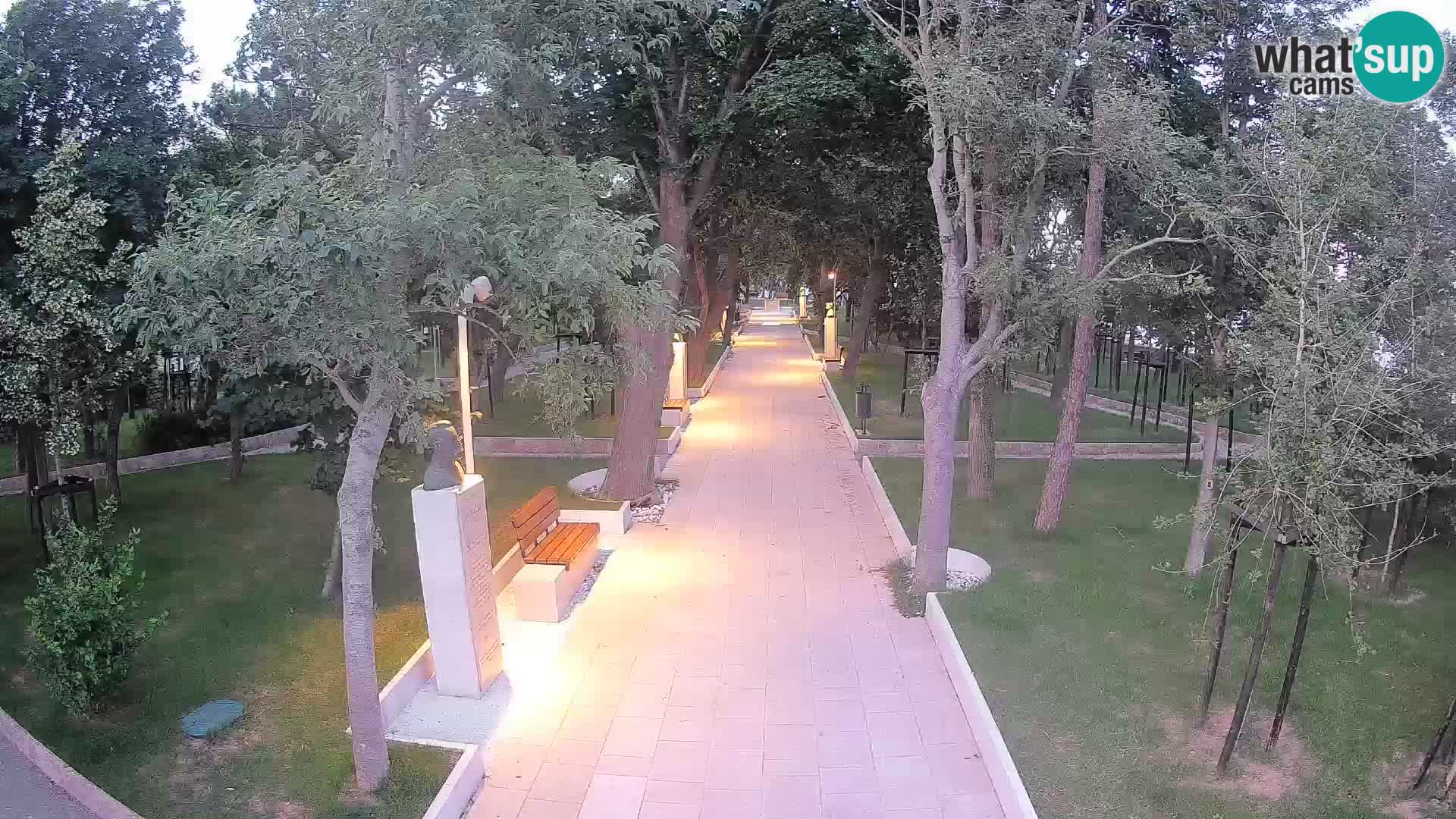 Webcam Parco degli Scrittori Segna – Diretta sul Mare