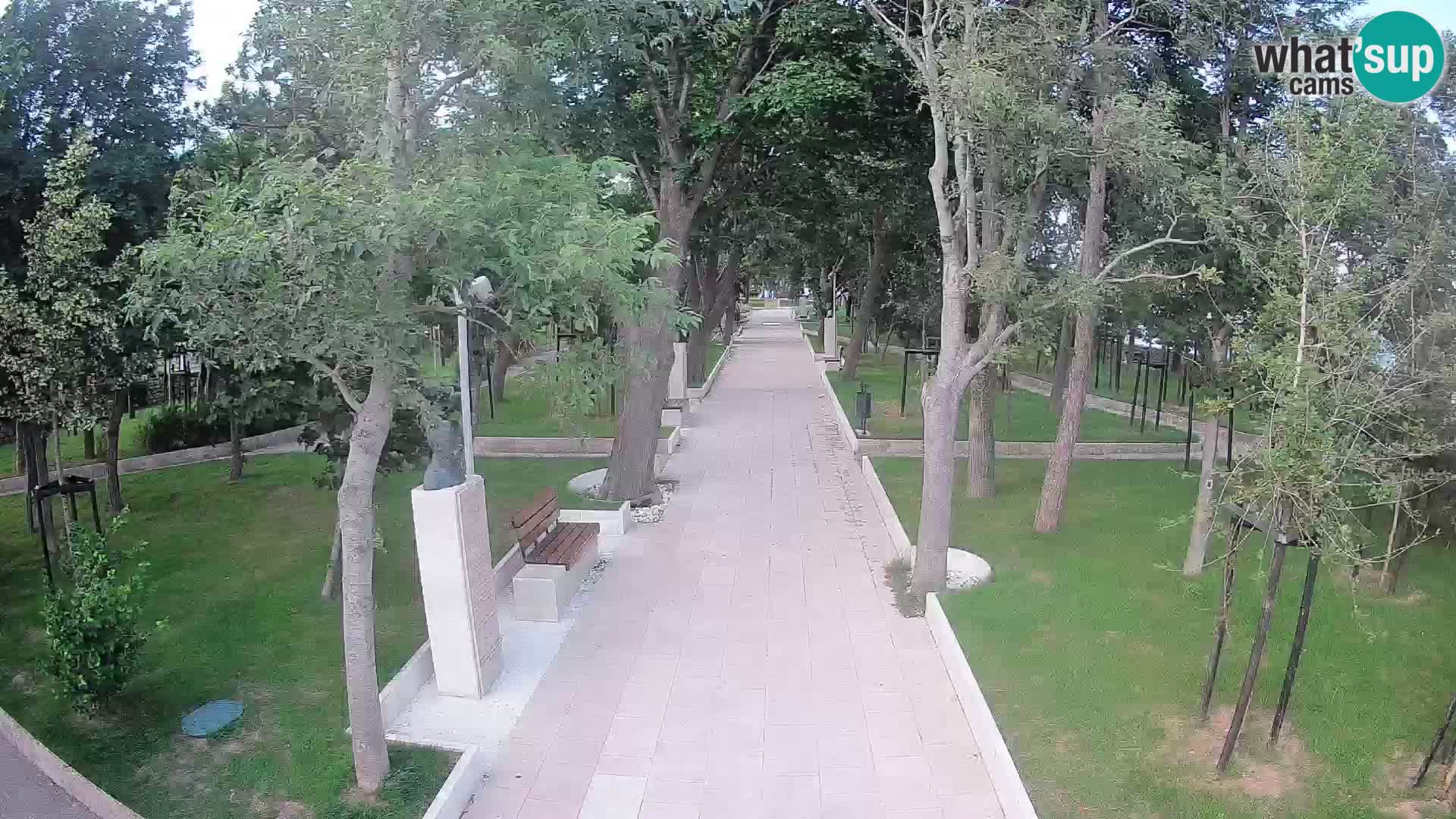 Webcam Parco degli Scrittori Segna – Diretta sul Mare