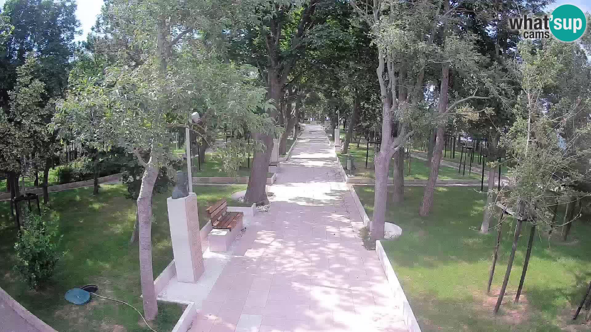 Webcam Parco degli Scrittori Segna – Diretta sul Mare