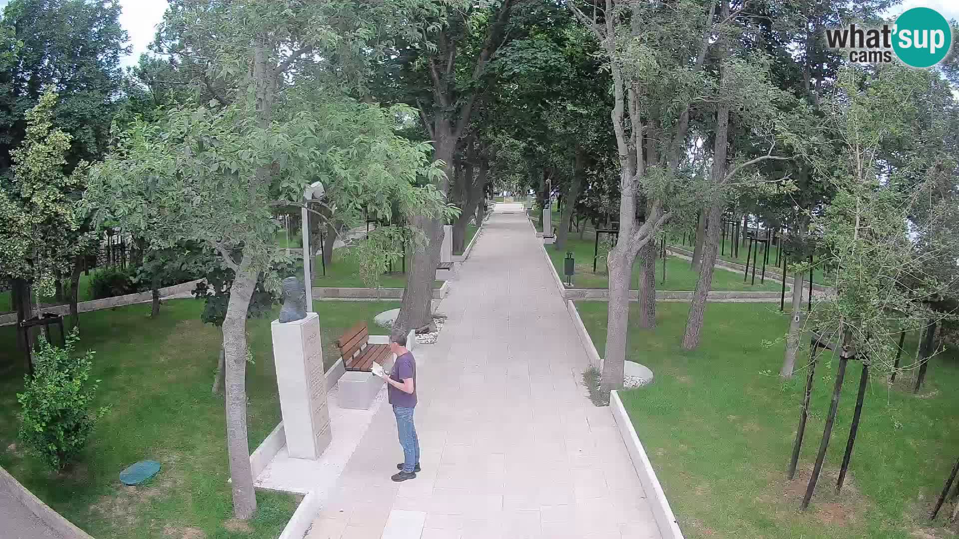 Webcam Schriftstellerpark Senj – Live am Meer