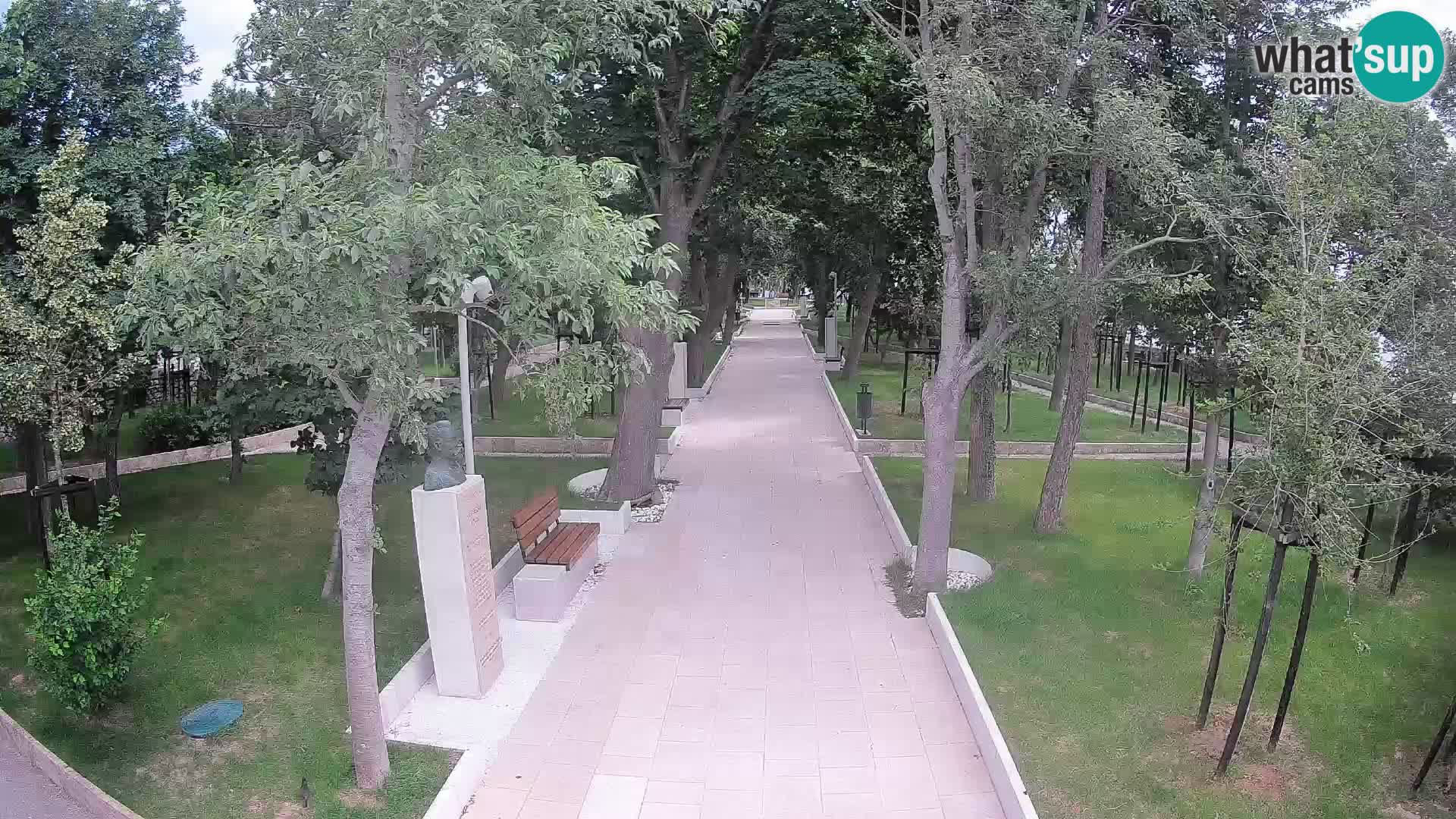 Webcam Parco degli Scrittori Segna – Diretta sul Mare