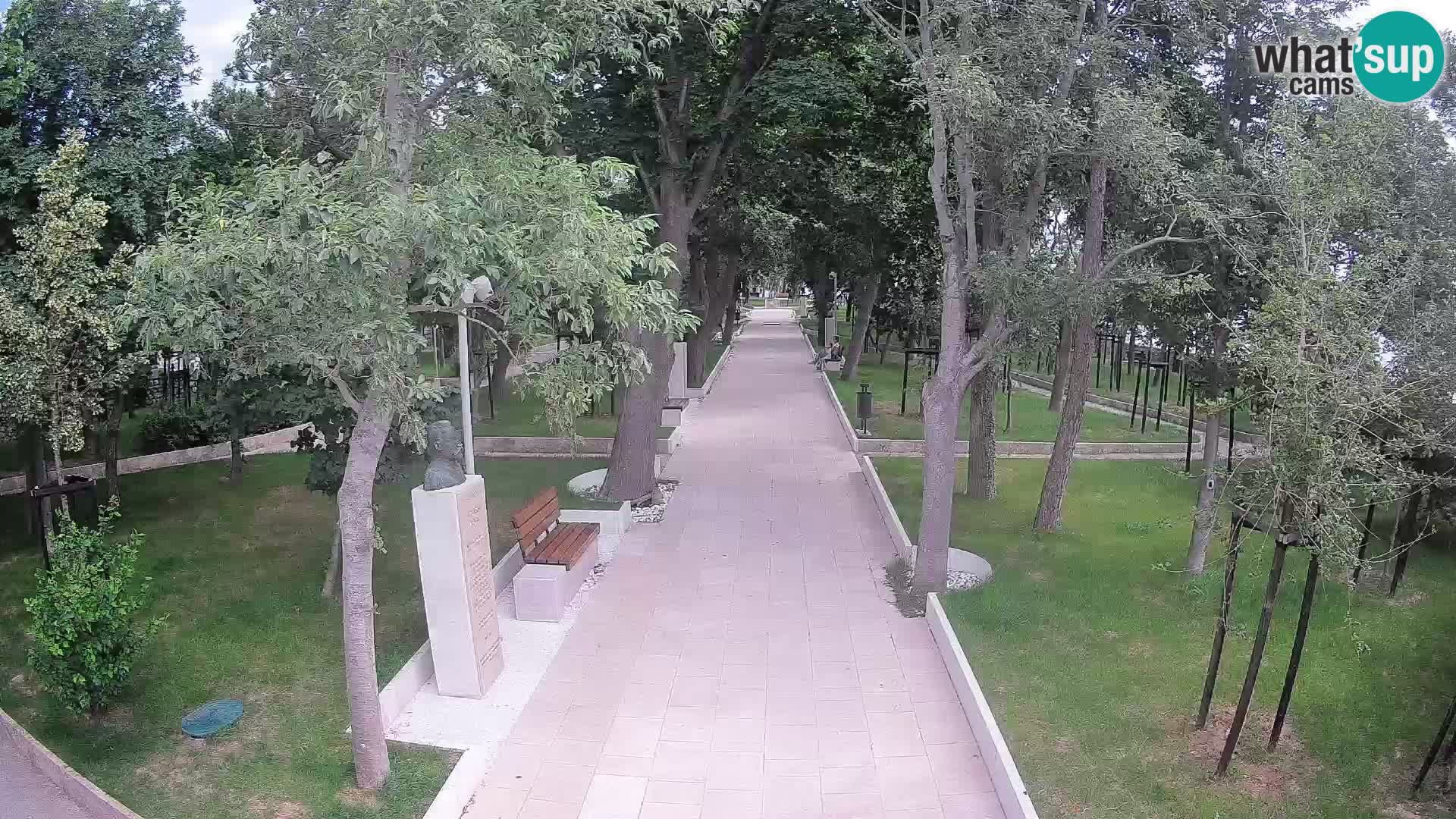 Webcam Parco degli Scrittori Segna – Diretta sul Mare
