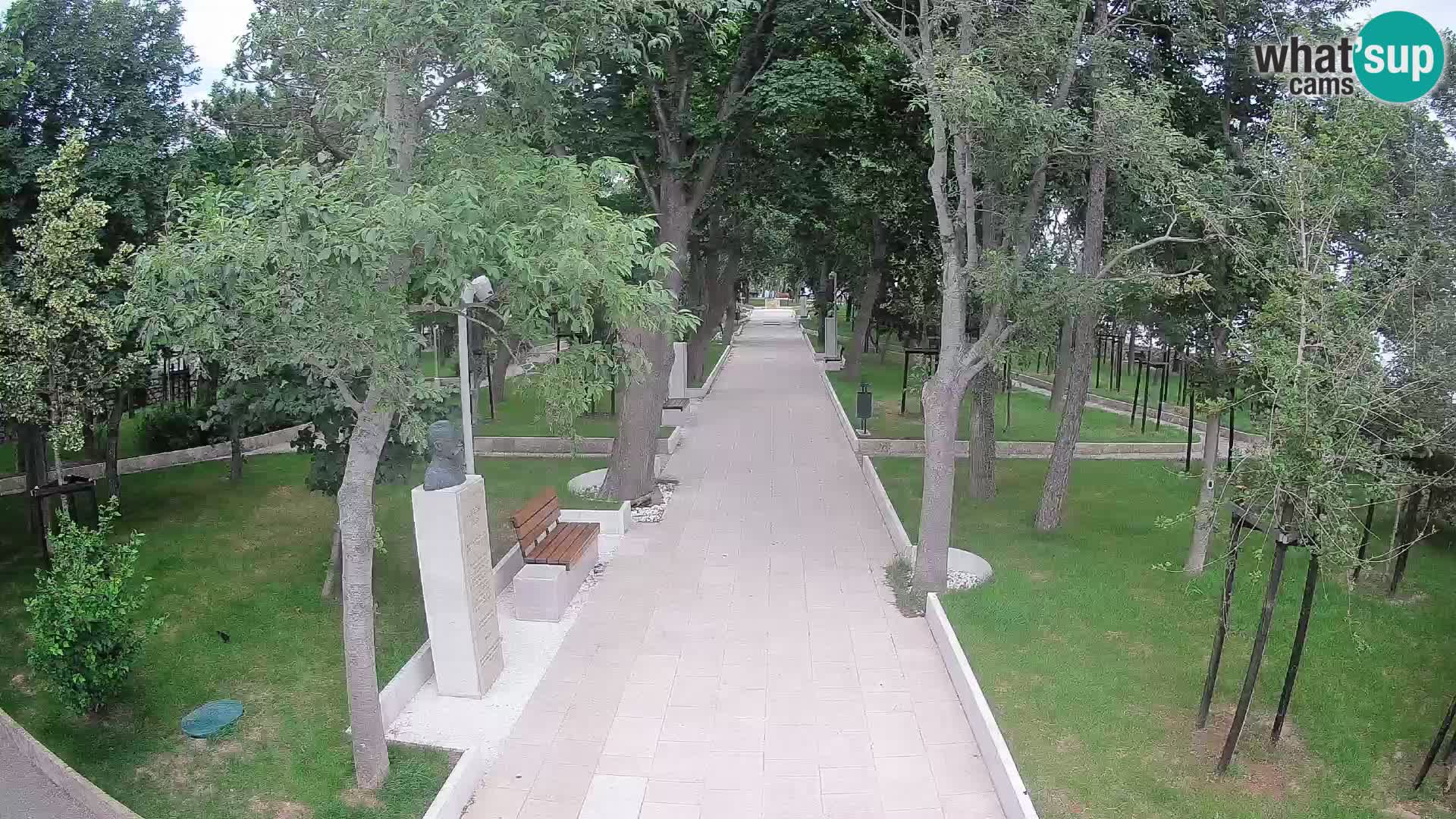 Webcam Parco degli Scrittori Segna – Diretta sul Mare