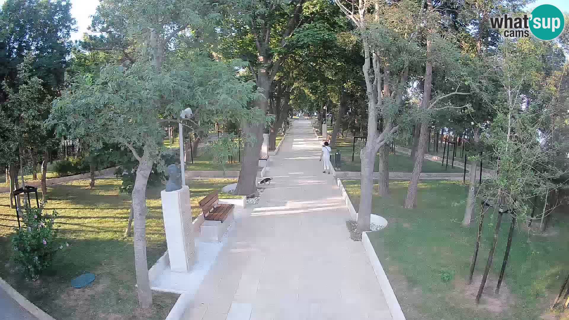 Writers’ Park Webcam Senj – Live by the Sea