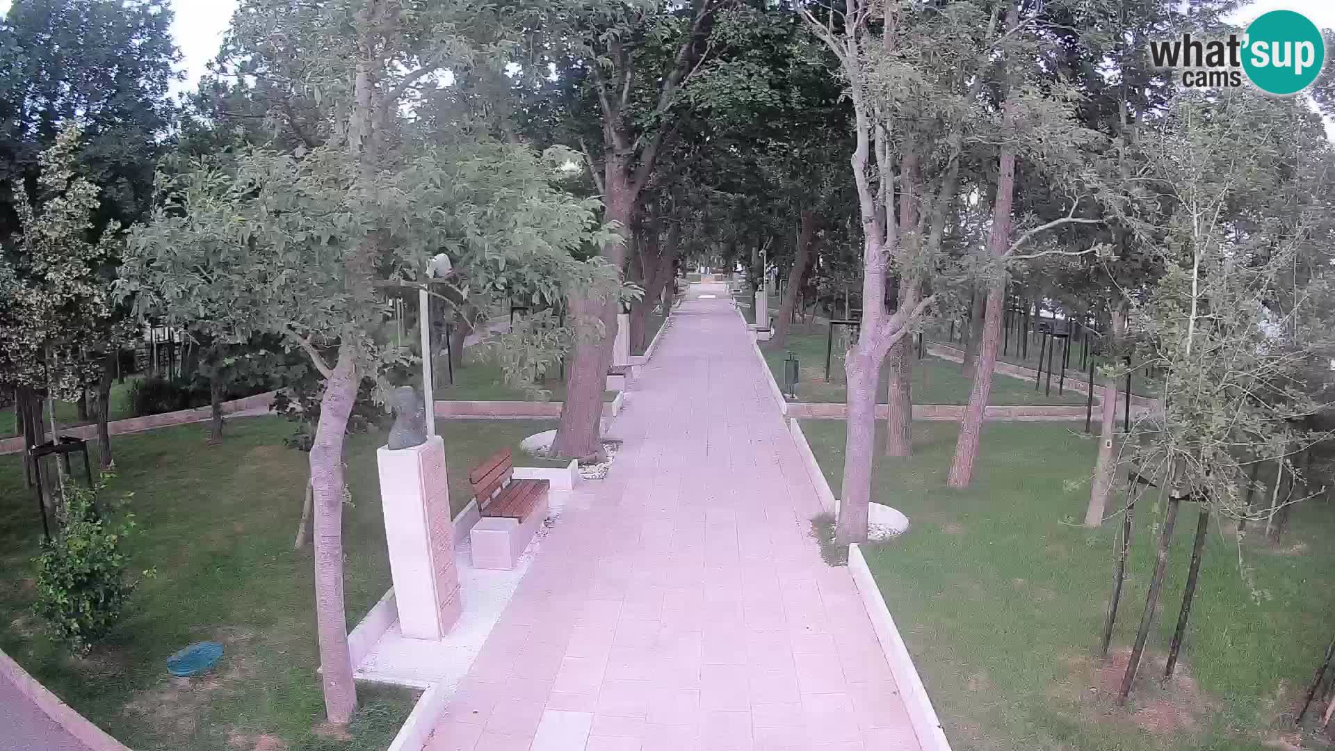 Writers’ Park Webcam Senj – Live by the Sea