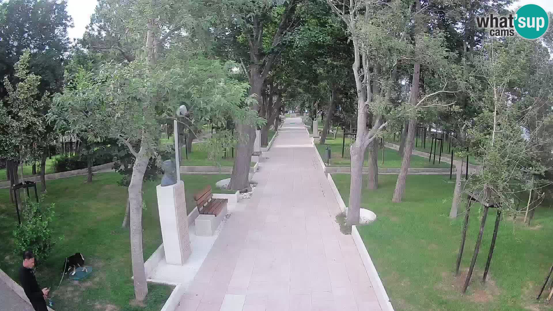 Webcam Parco degli Scrittori Segna – Diretta sul Mare