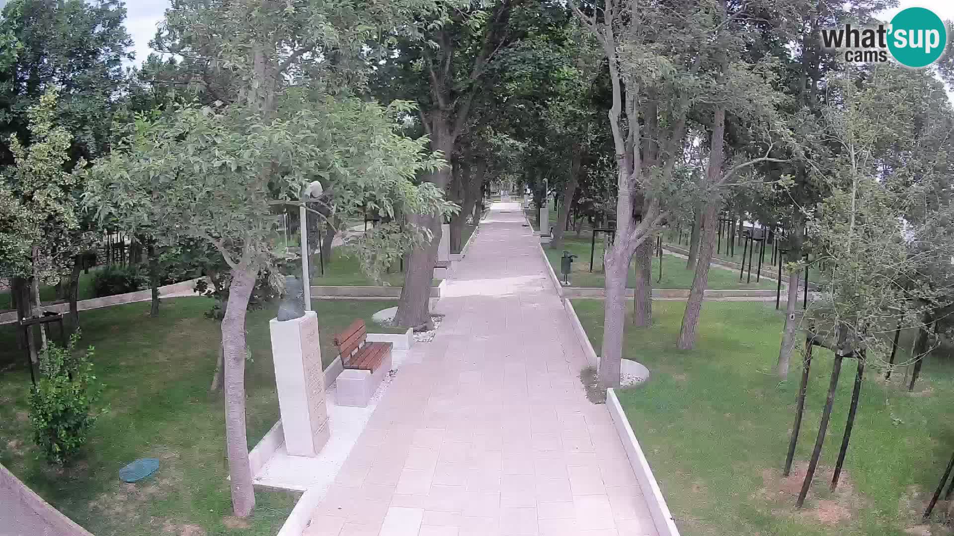 Webcam Schriftstellerpark Senj – Live am Meer