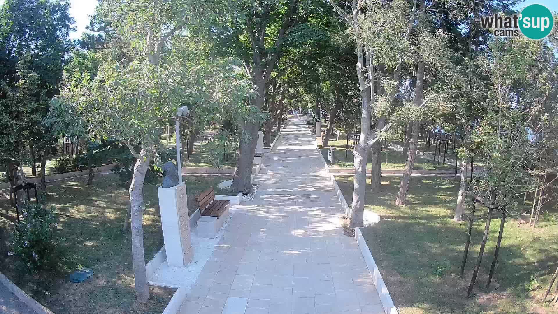 Webcam Parco degli Scrittori Segna – Diretta sul Mare