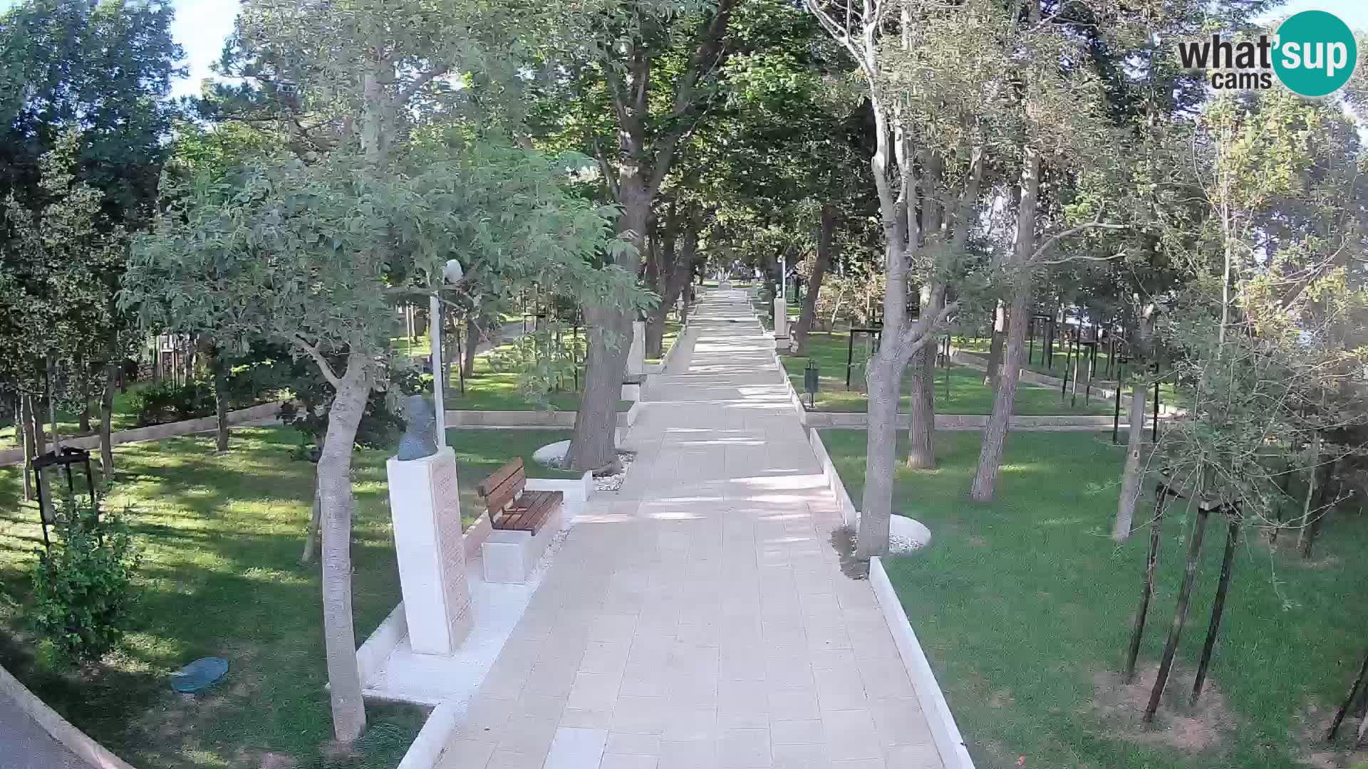 Webcam Parco degli Scrittori Segna – Diretta sul Mare