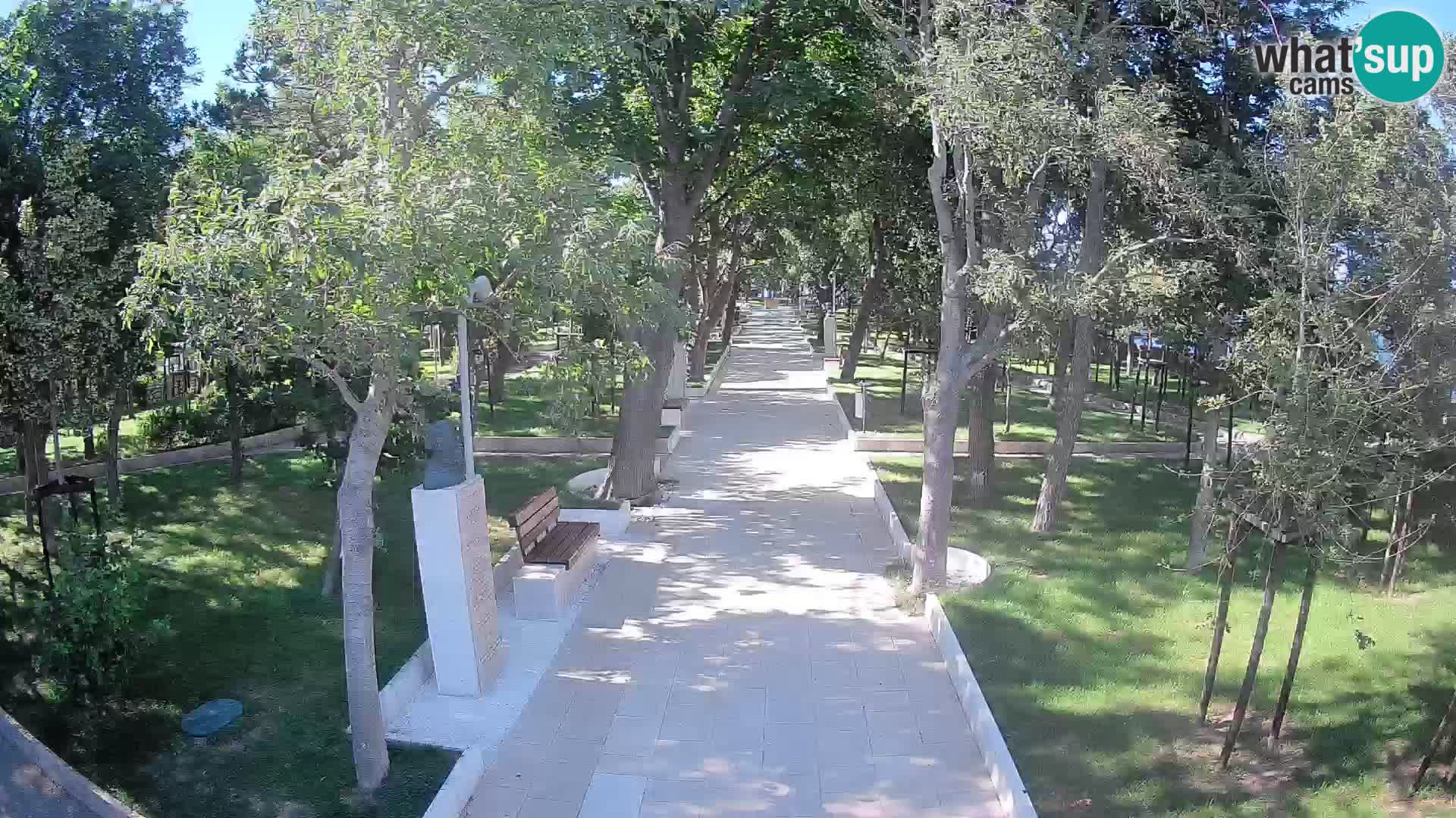 Webcam Parco degli Scrittori Segna – Diretta sul Mare