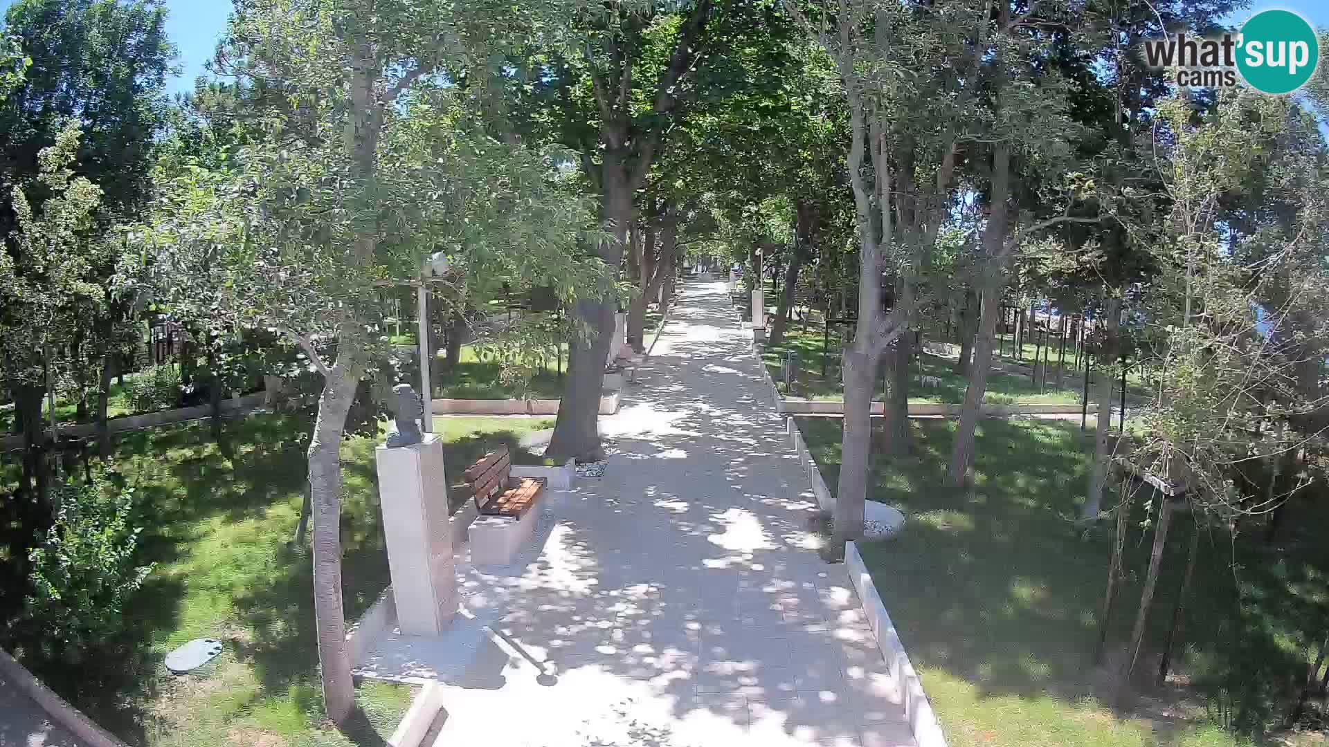 Webcam Parco degli Scrittori Segna – Diretta sul Mare
