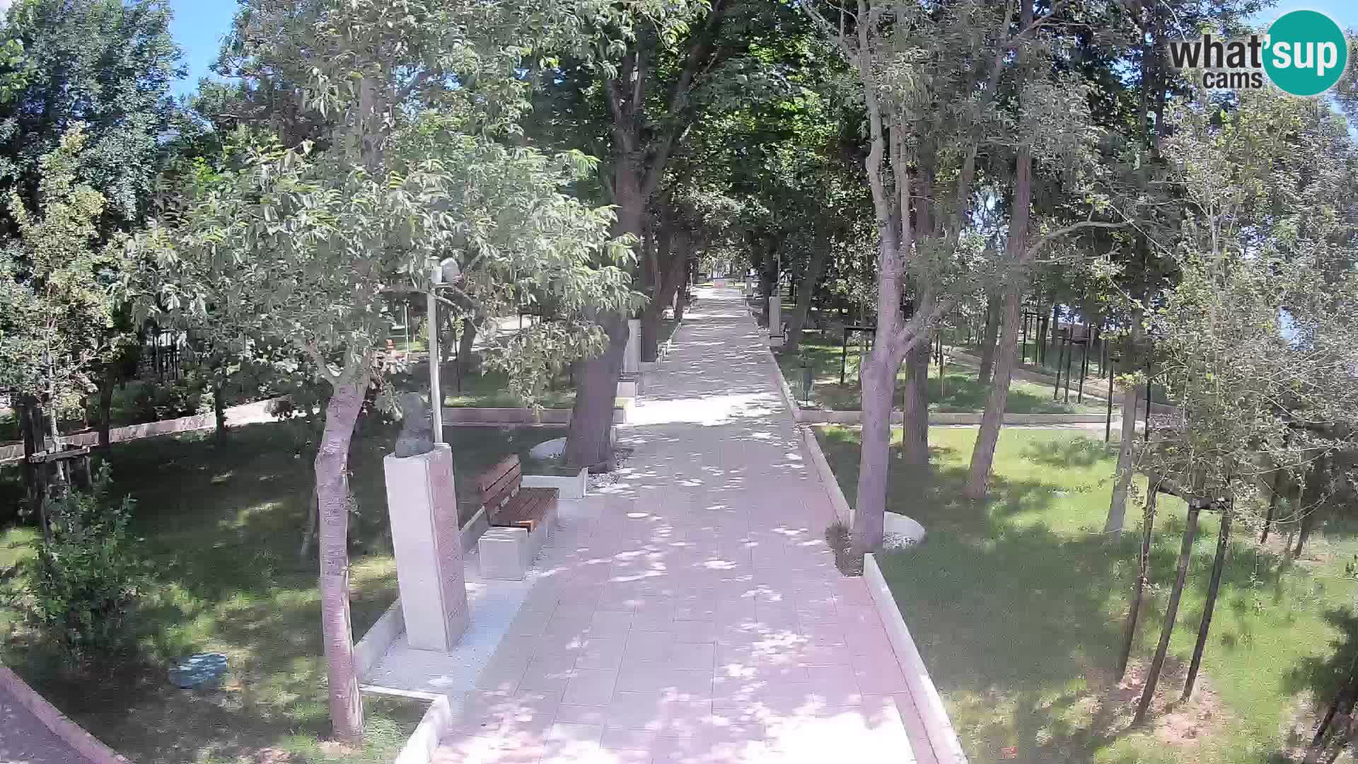 Webcam Parco degli Scrittori Segna – Diretta sul Mare