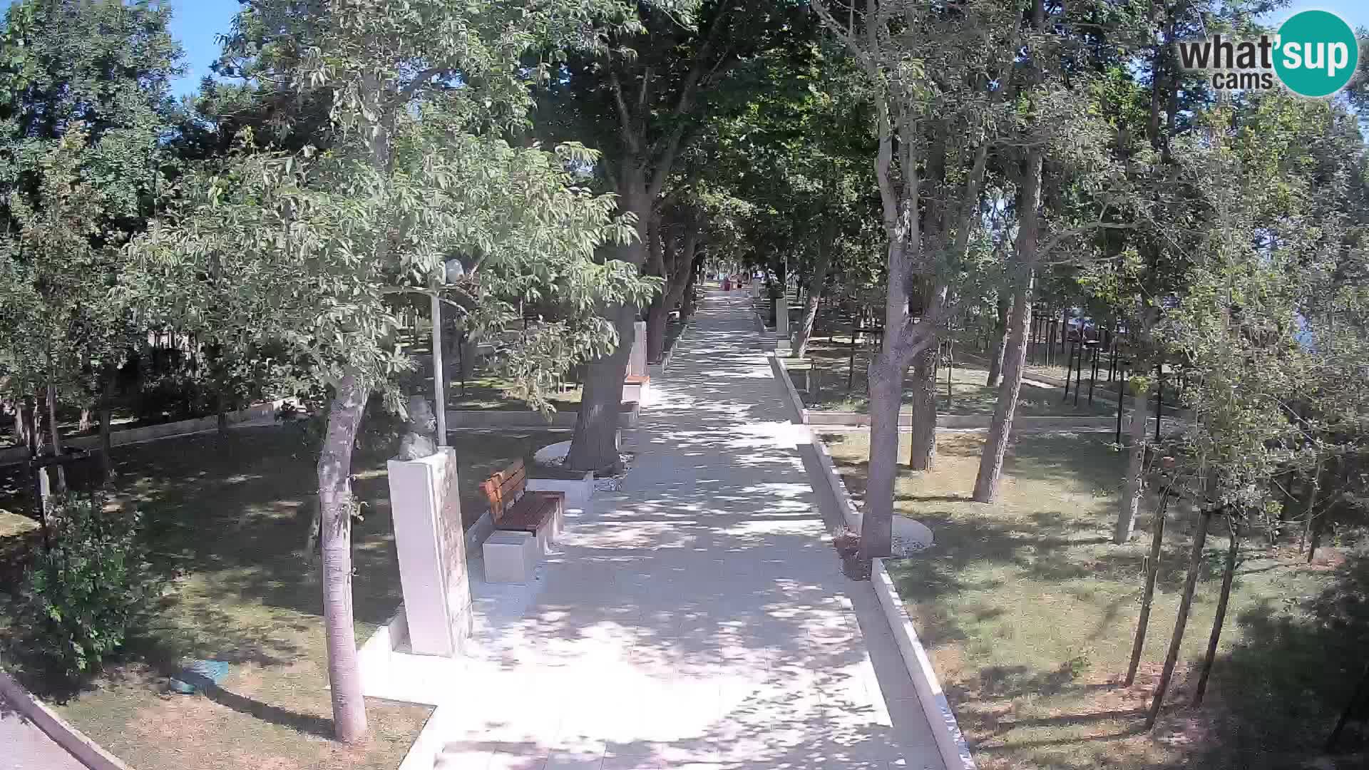 Webcam Parco degli Scrittori Segna – Diretta sul Mare