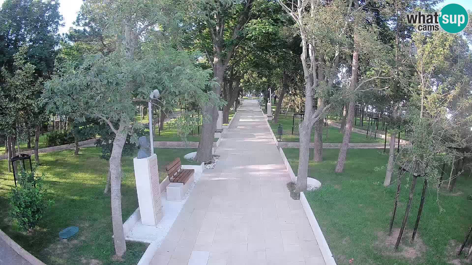 Webcam Parco degli Scrittori Segna – Diretta sul Mare