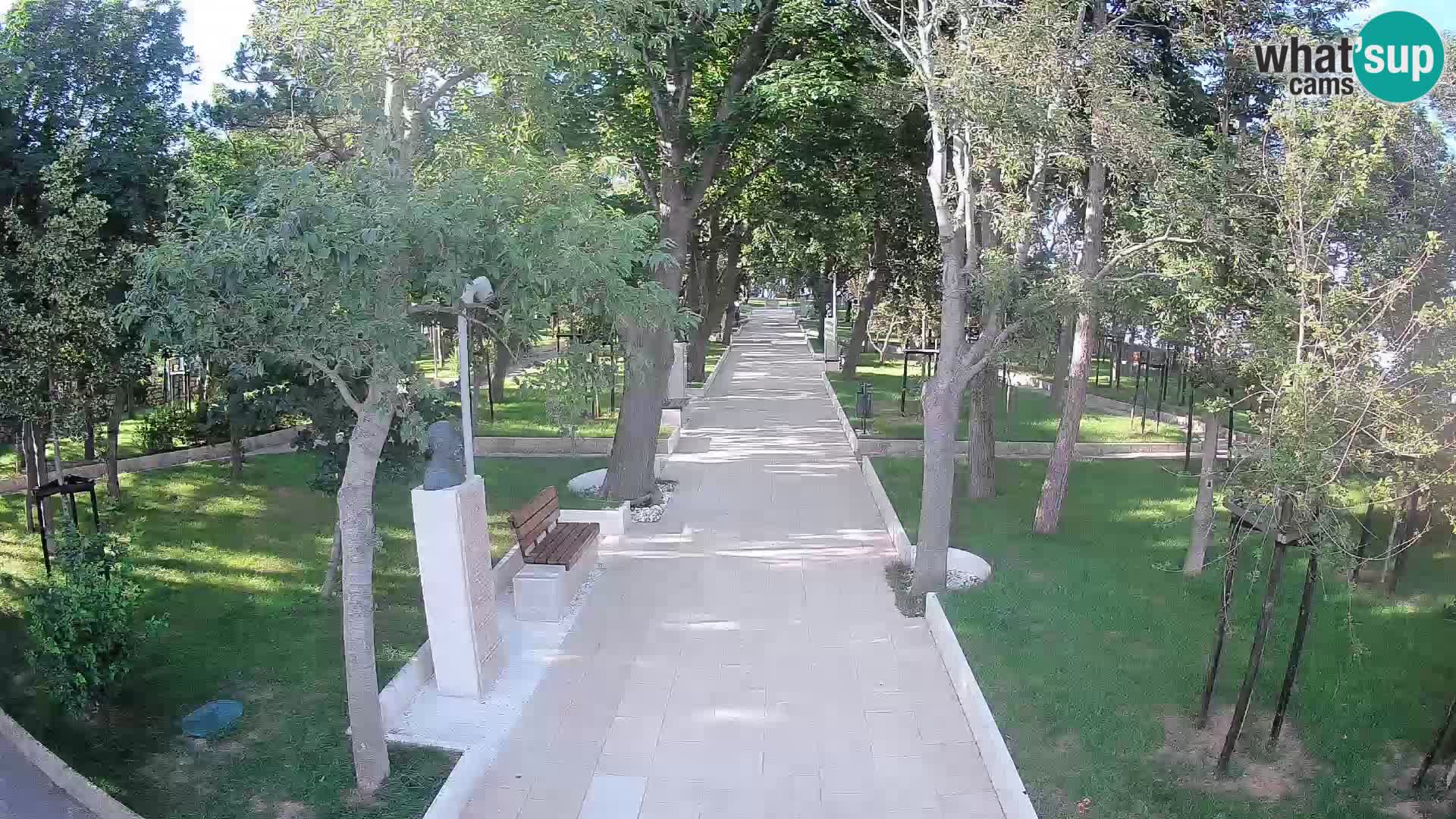 Webcam Parco degli Scrittori Segna – Diretta sul Mare
