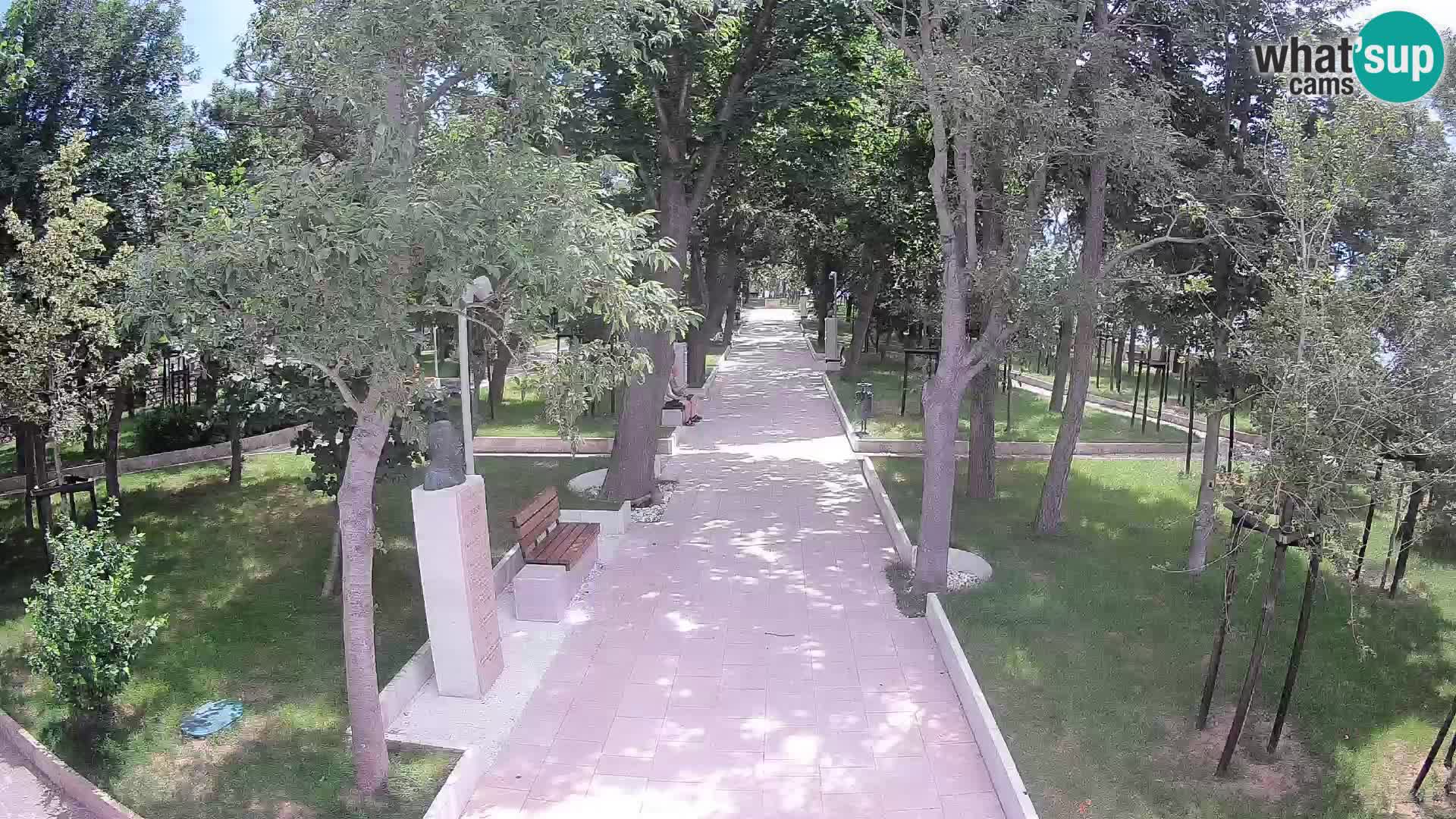 Webcam Parco degli Scrittori Segna – Diretta sul Mare