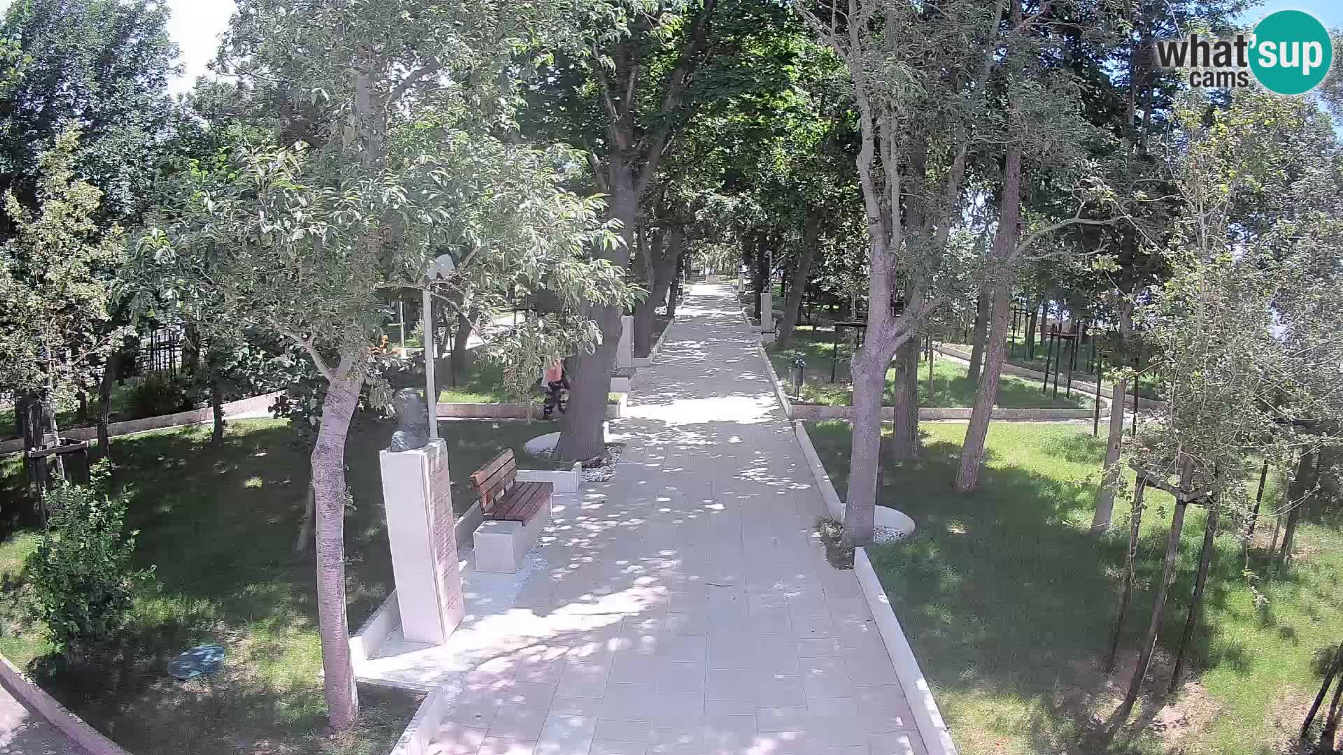 Webcam Schriftstellerpark Senj – Live am Meer