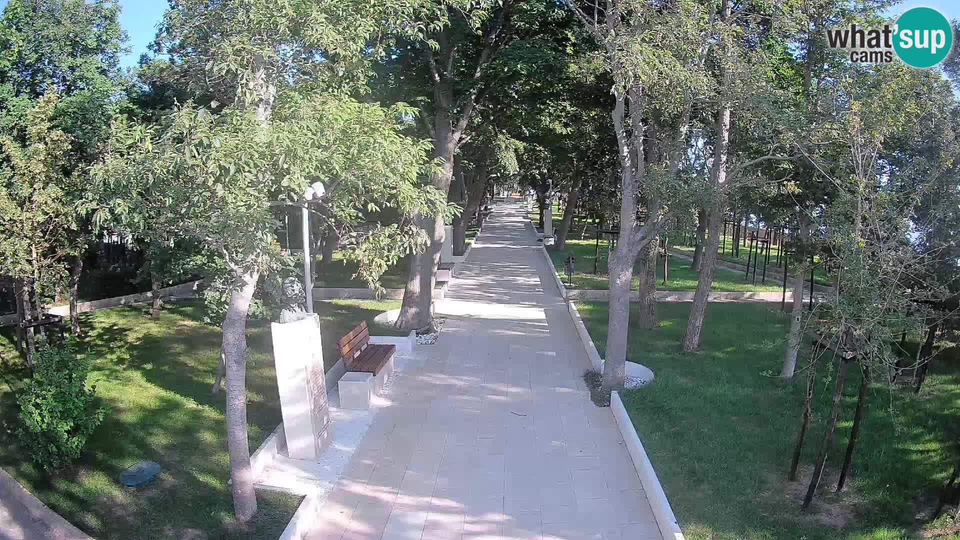 Webcam Parco degli Scrittori Segna – Diretta sul Mare