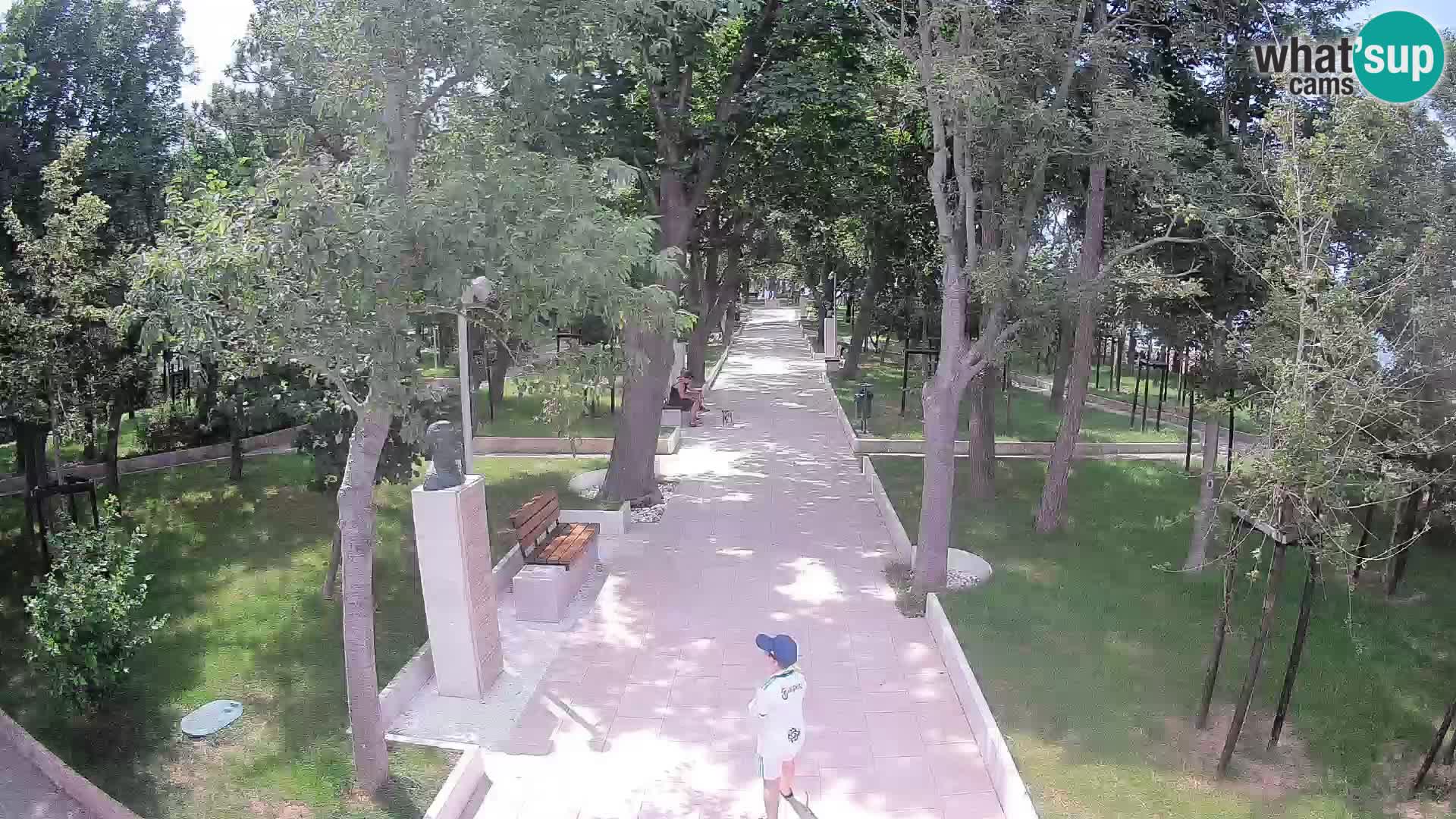 Webcam Parco degli Scrittori Segna – Diretta sul Mare
