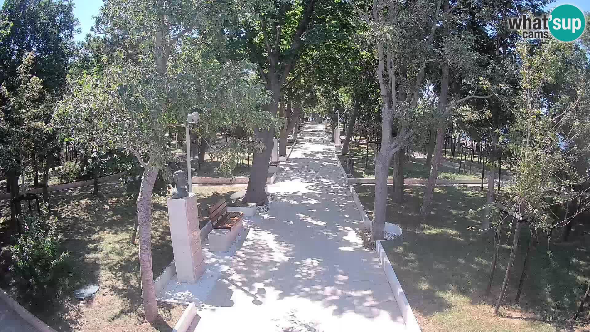 Webcam Parco degli Scrittori Segna – Diretta sul Mare