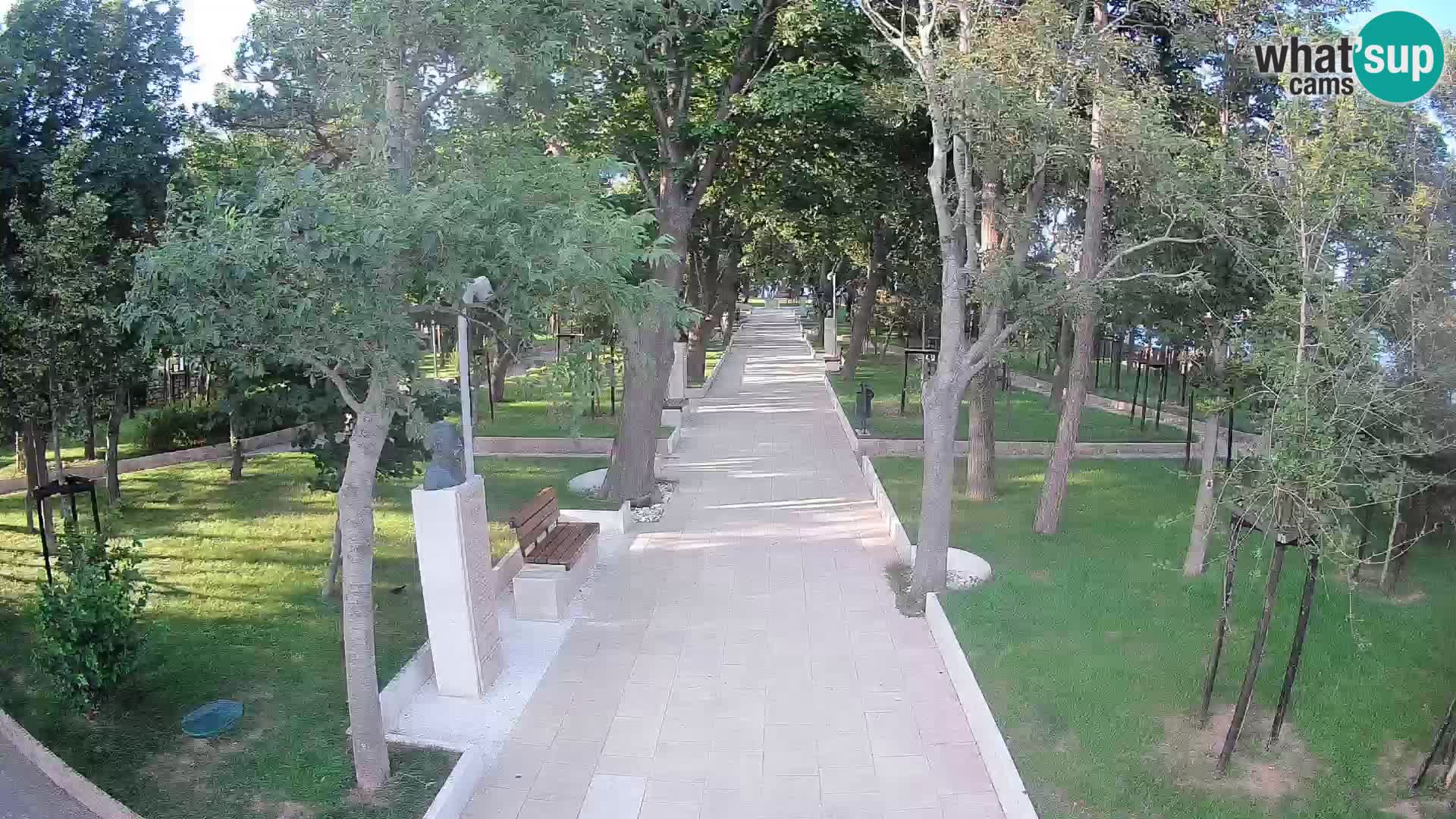 Webcam Parco degli Scrittori Segna – Diretta sul Mare