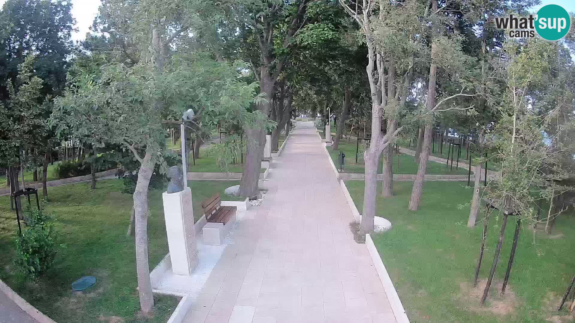 Webcam Parco degli Scrittori Segna – Diretta sul Mare