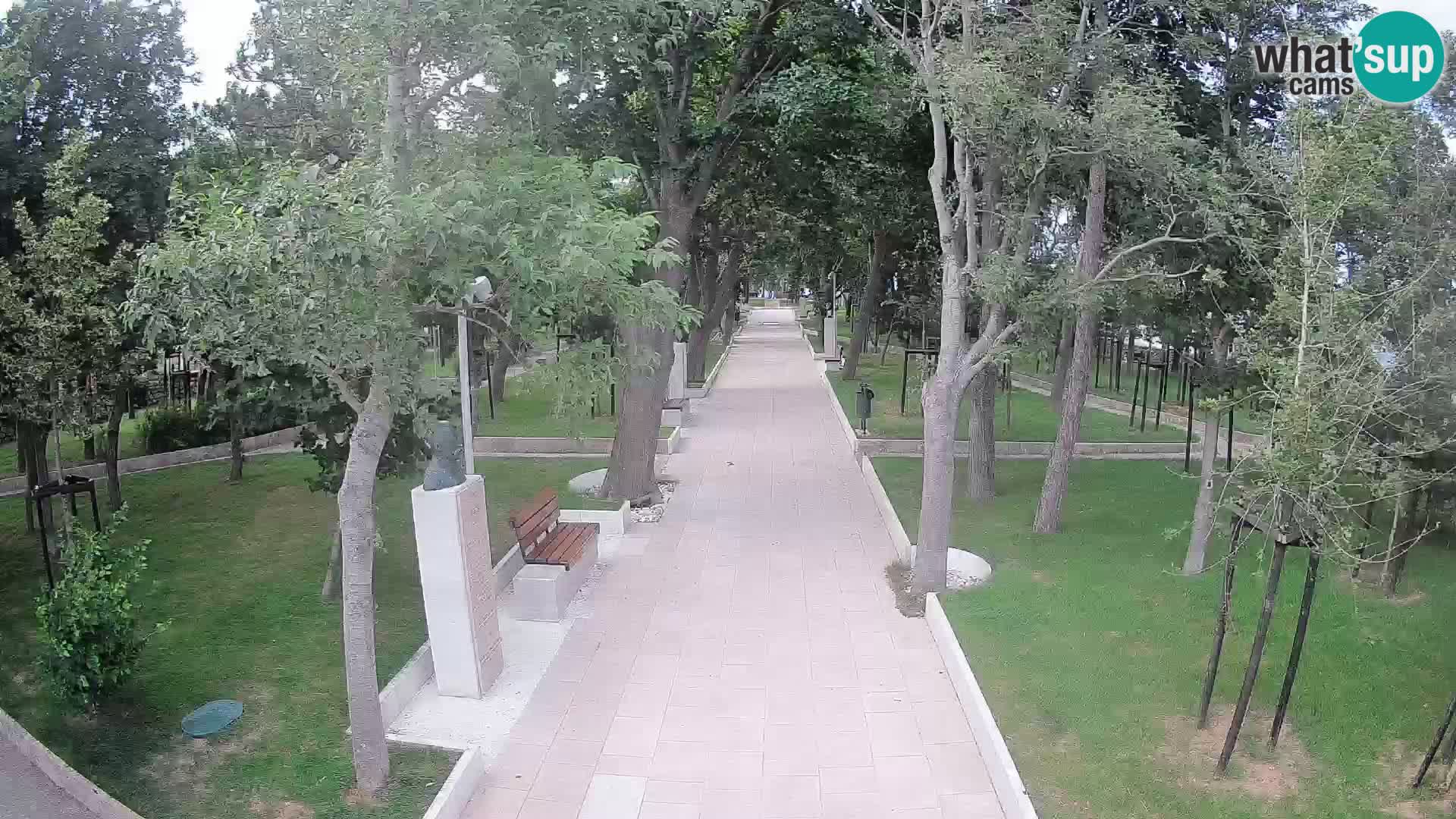 Webcam Parco degli Scrittori Segna – Diretta sul Mare