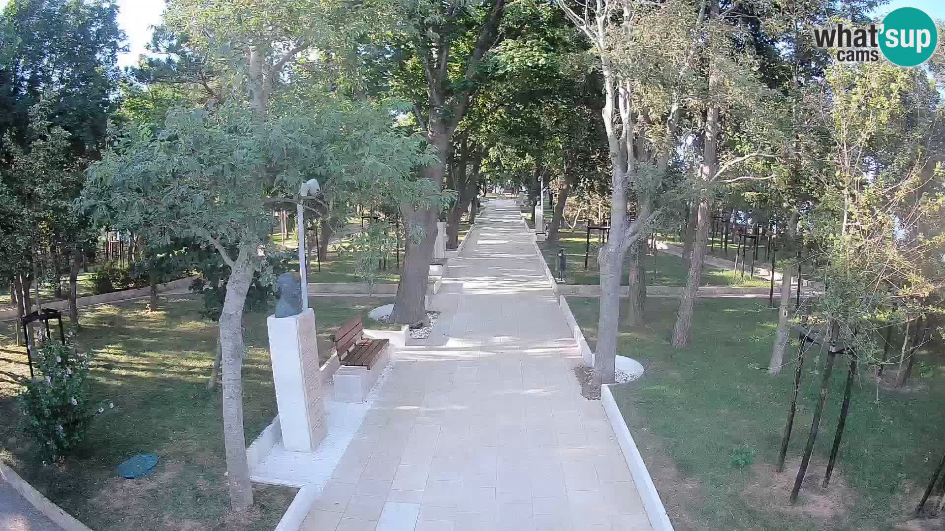 Webcam Schriftstellerpark Senj – Live am Meer