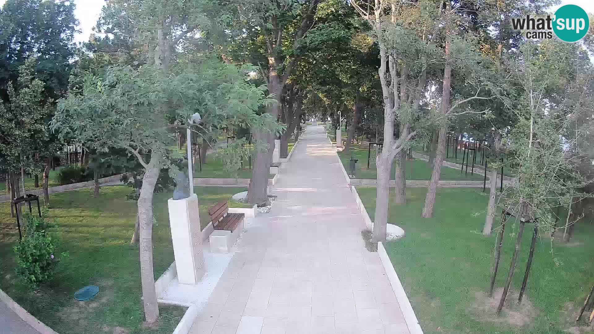 Webcam Parco degli Scrittori Segna – Diretta sul Mare