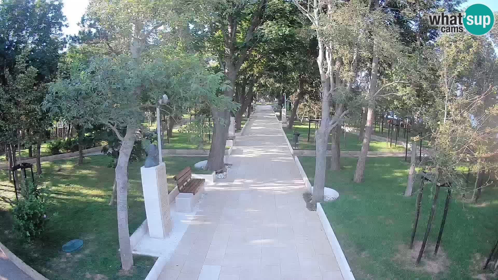 Webcam Parco degli Scrittori Segna – Diretta sul Mare