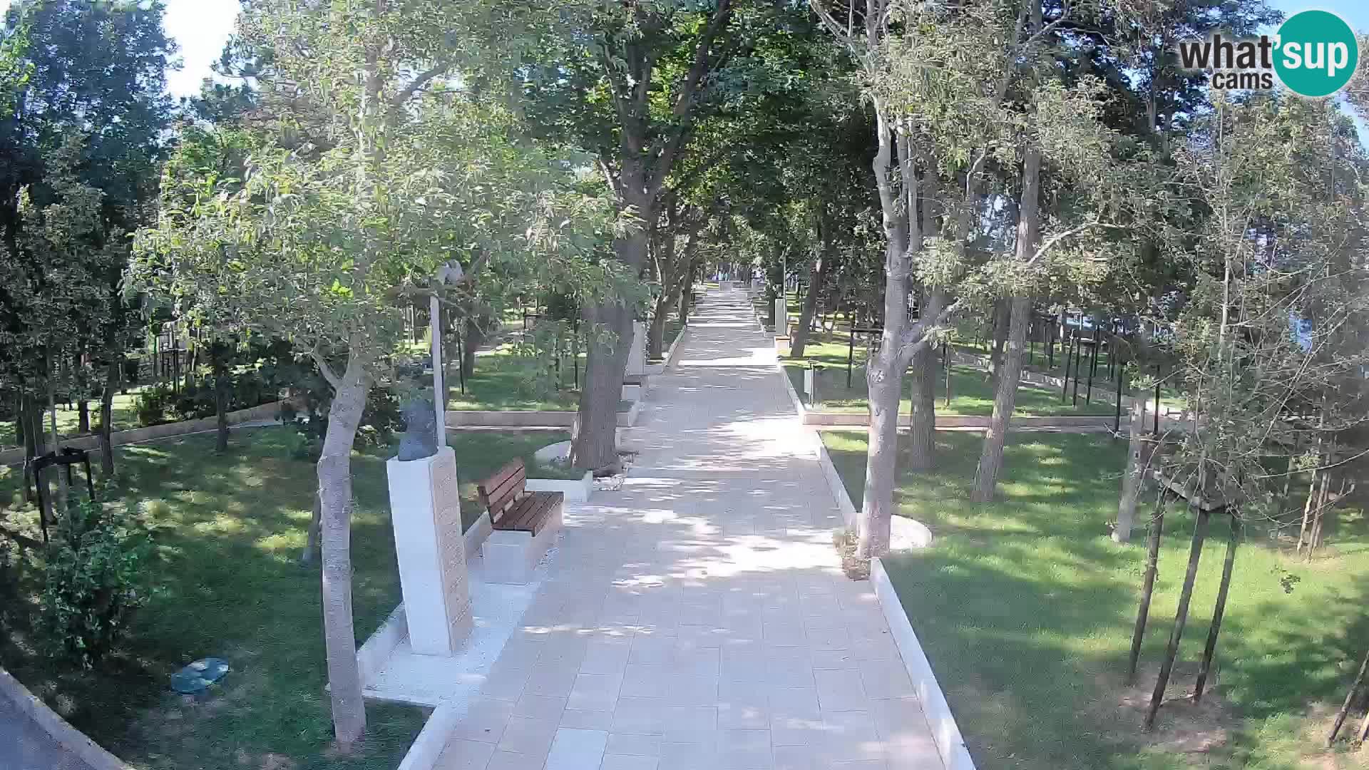 Webcam Parco degli Scrittori Segna – Diretta sul Mare