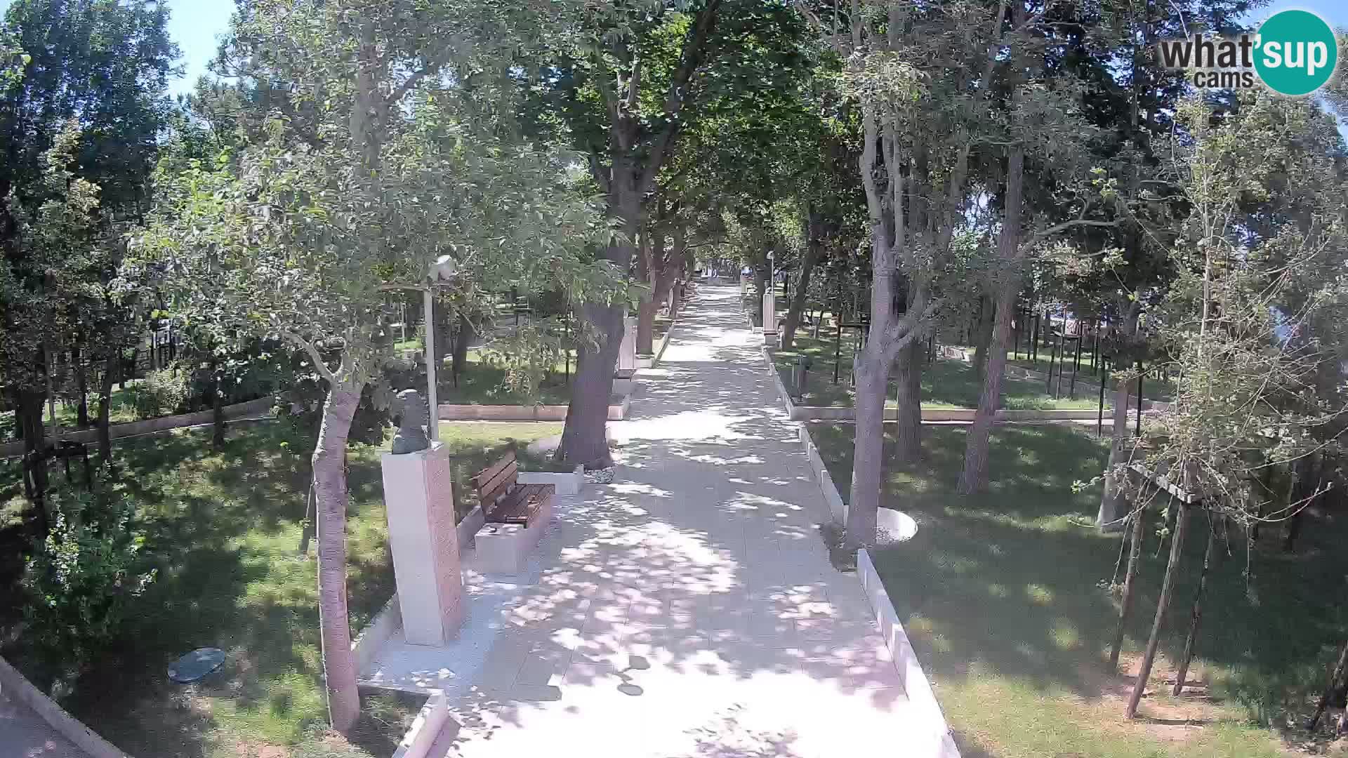 Webcam Schriftstellerpark Senj – Live am Meer