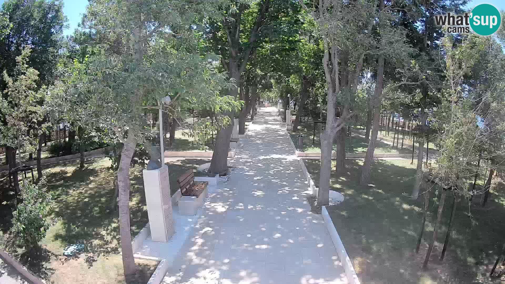 Webcam Schriftstellerpark Senj – Live am Meer