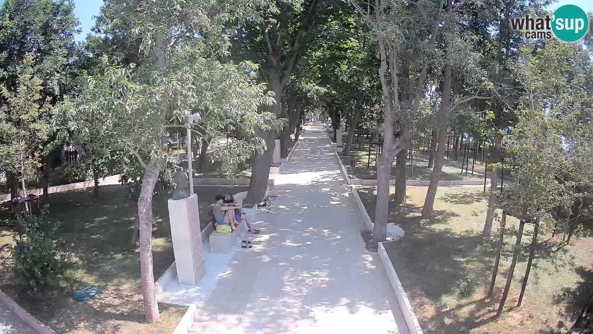 Webcam Parco degli Scrittori Segna – Diretta sul Mare