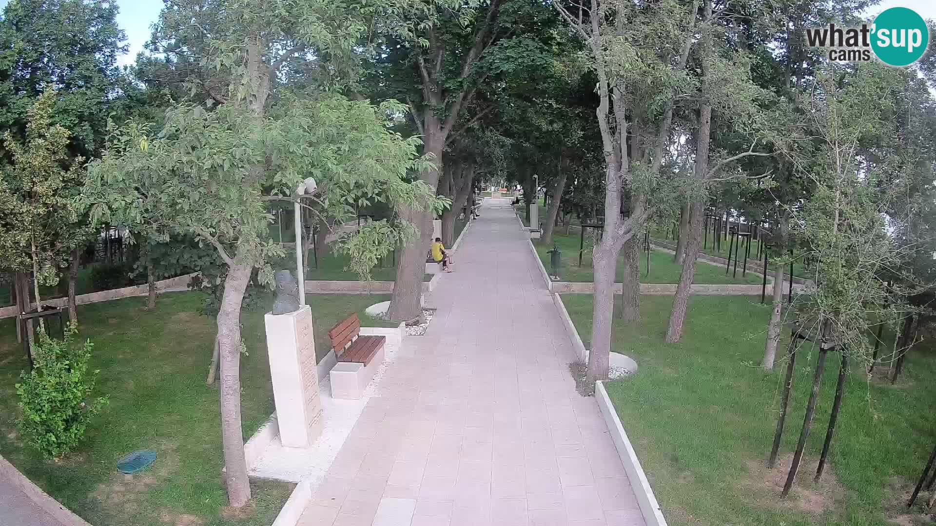 Webcam Parco degli Scrittori Segna – Diretta sul Mare