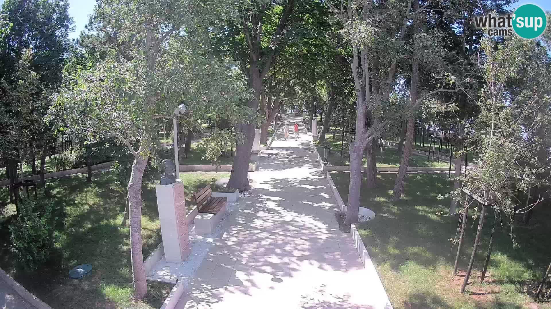 Webcam Parco degli Scrittori Segna – Diretta sul Mare