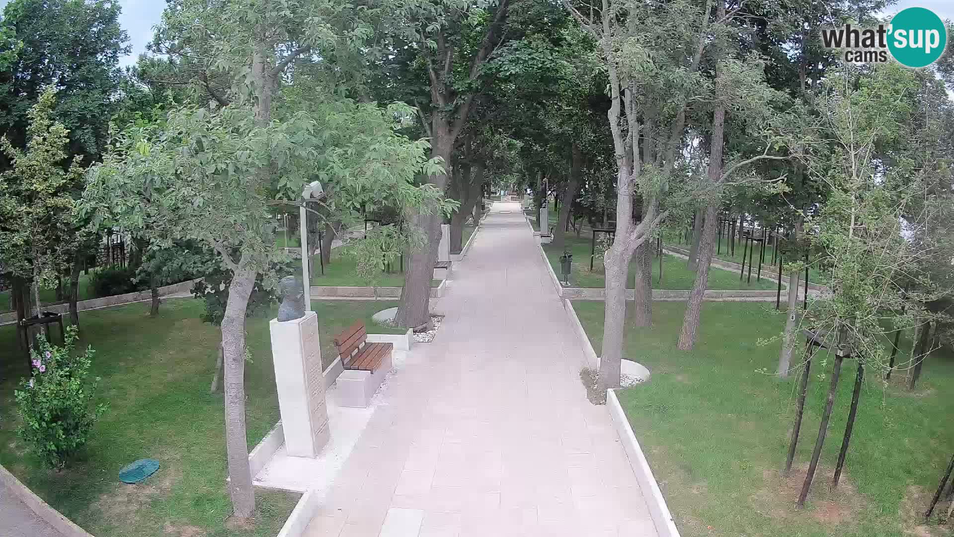 Webcam Parco degli Scrittori Segna – Diretta sul Mare