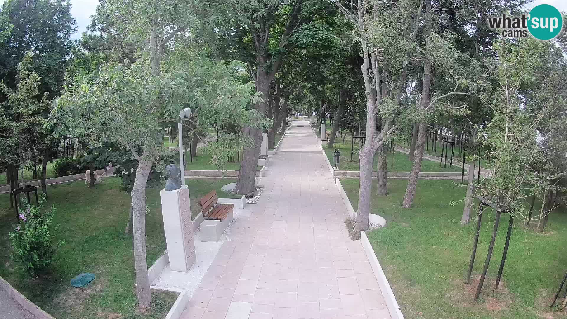 Writers’ Park Webcam Senj – Live by the Sea