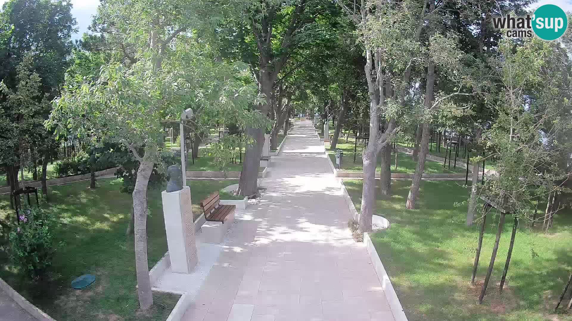 Webcam Parco degli Scrittori Segna – Diretta sul Mare