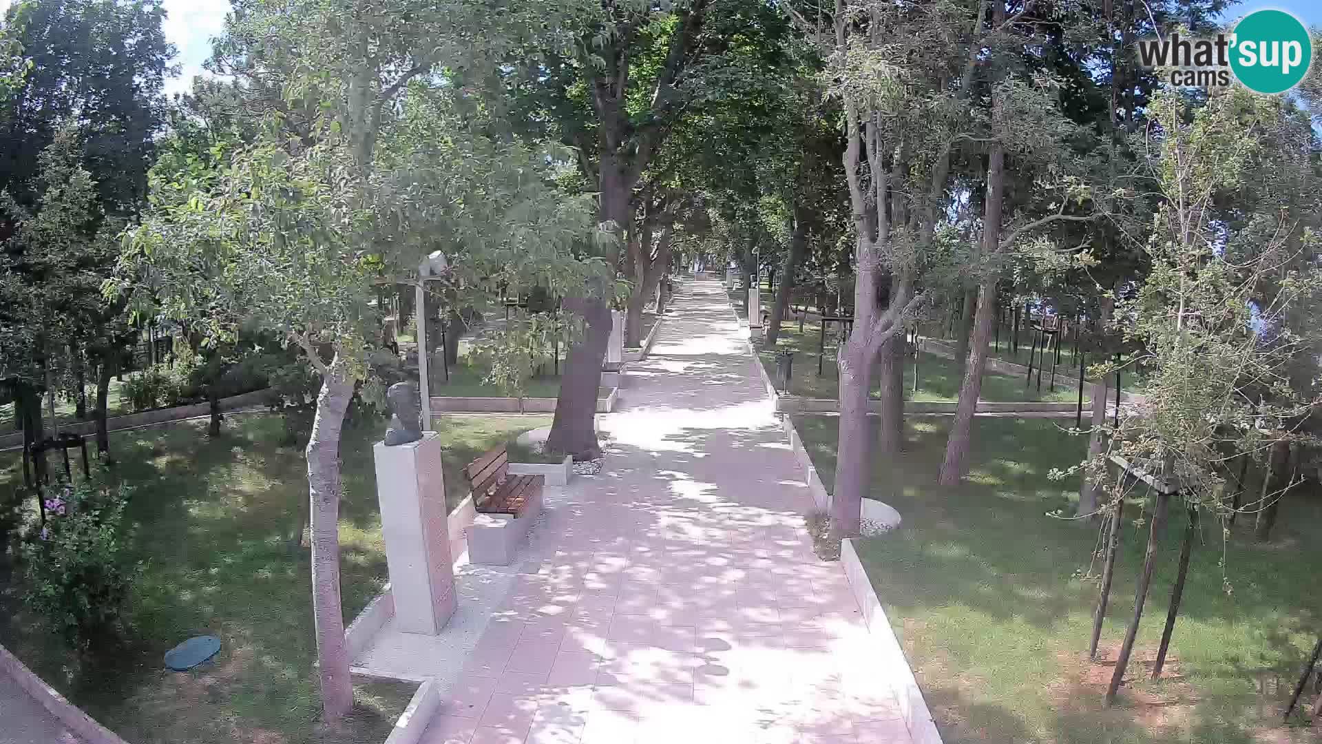 Webcam Schriftstellerpark Senj – Live am Meer