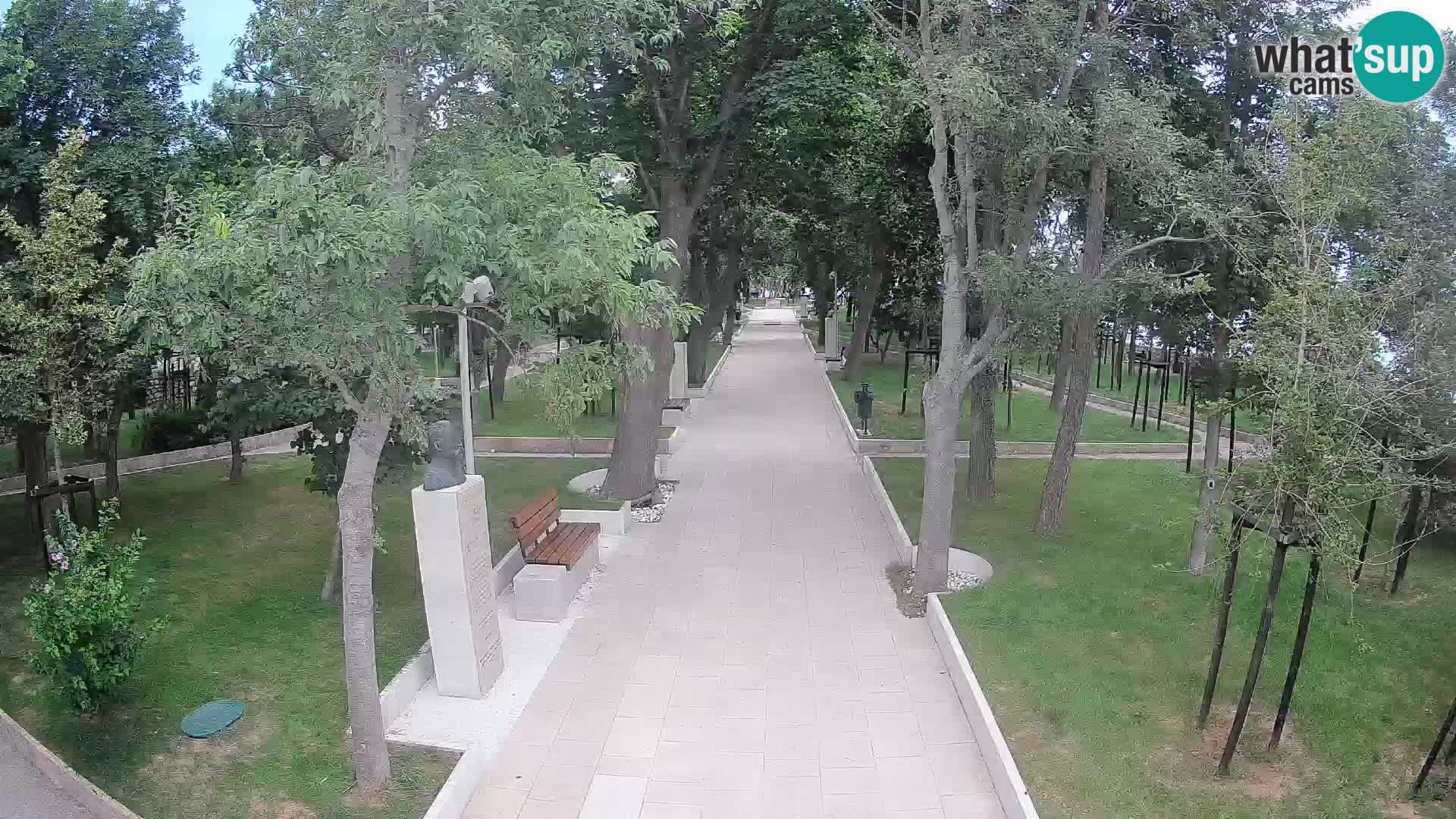 Webcam Parco degli Scrittori Segna – Diretta sul Mare