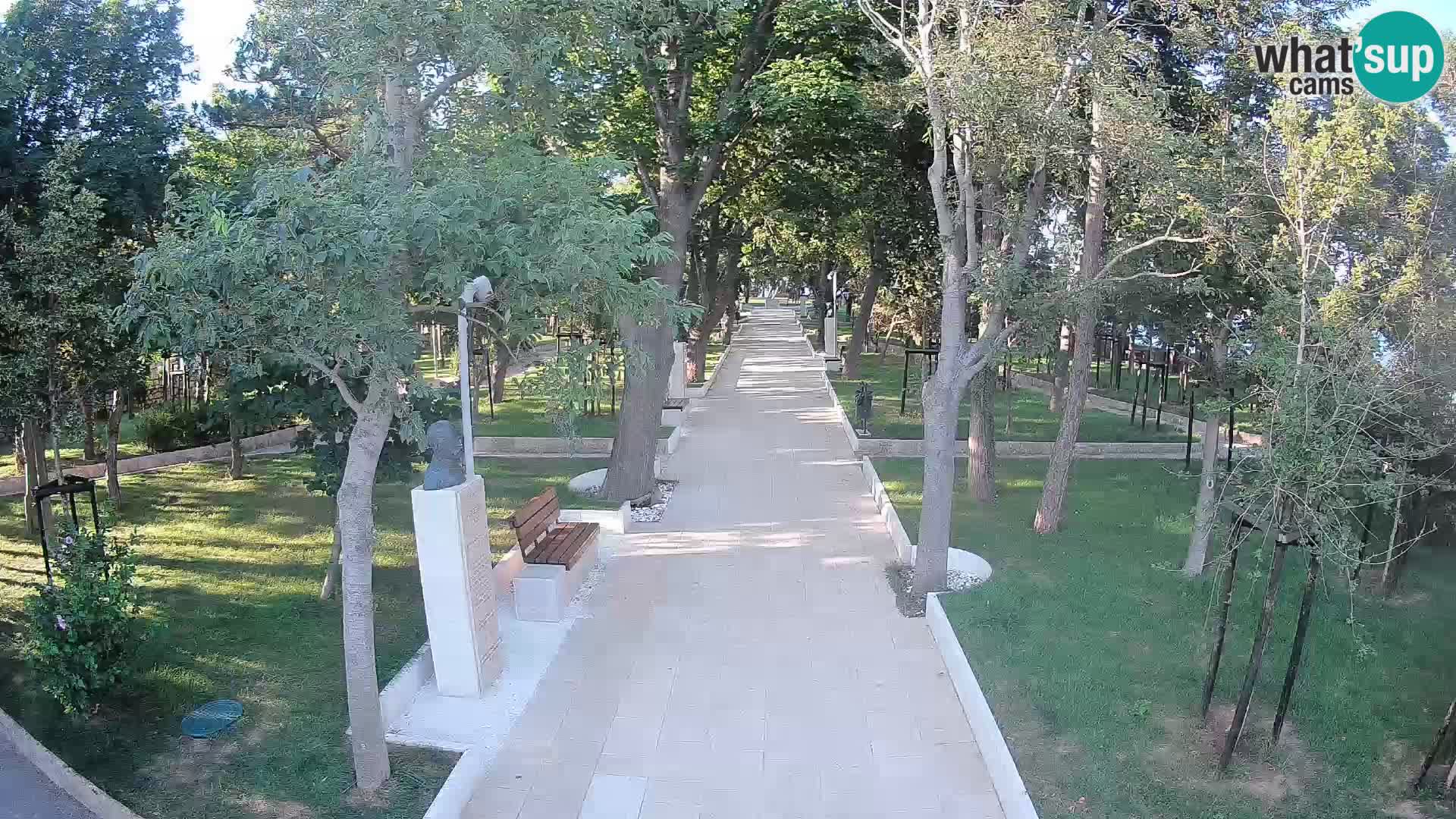 Webcam Parco degli Scrittori Segna – Diretta sul Mare