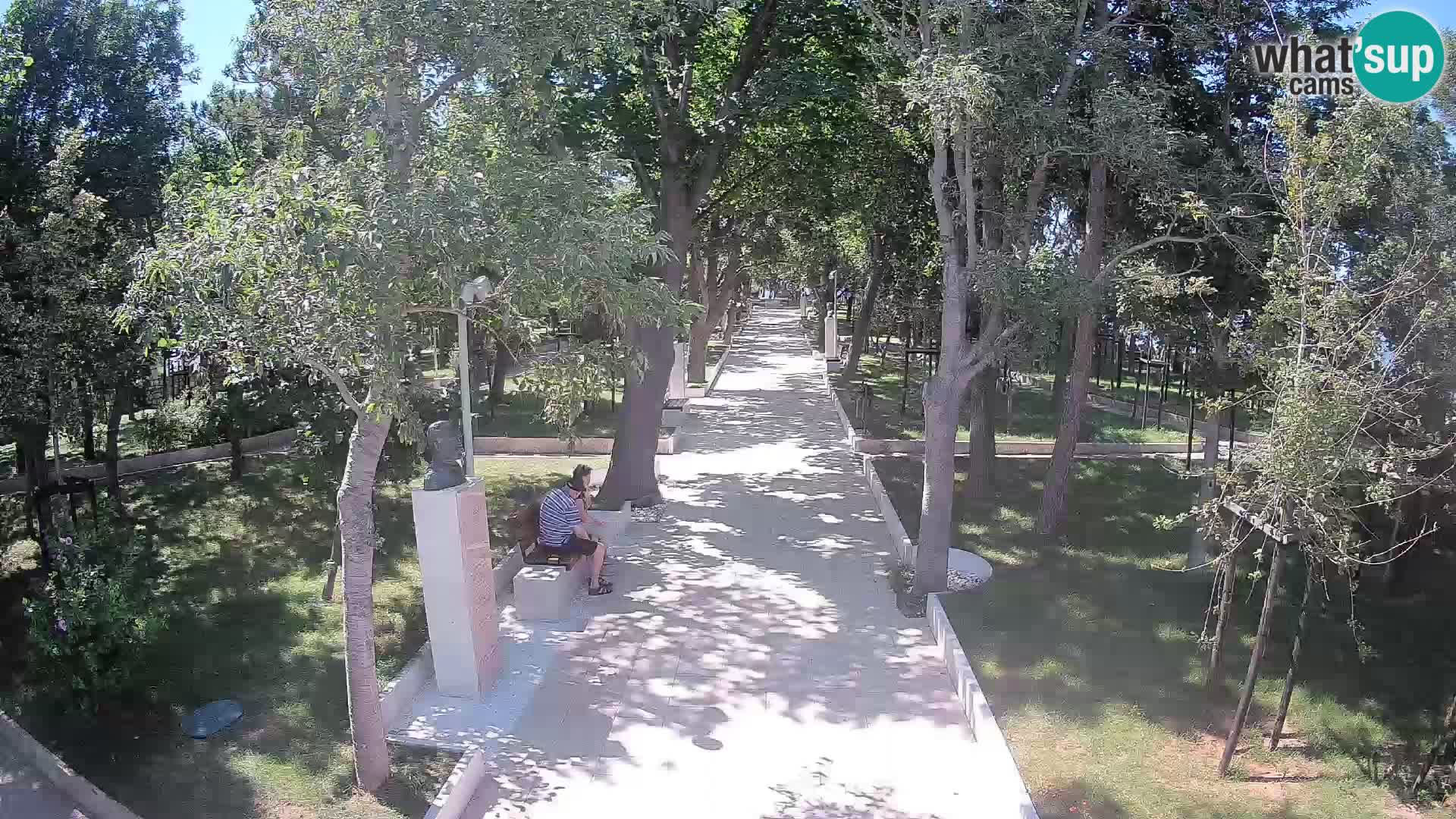 Webcam Parco degli Scrittori Segna – Diretta sul Mare