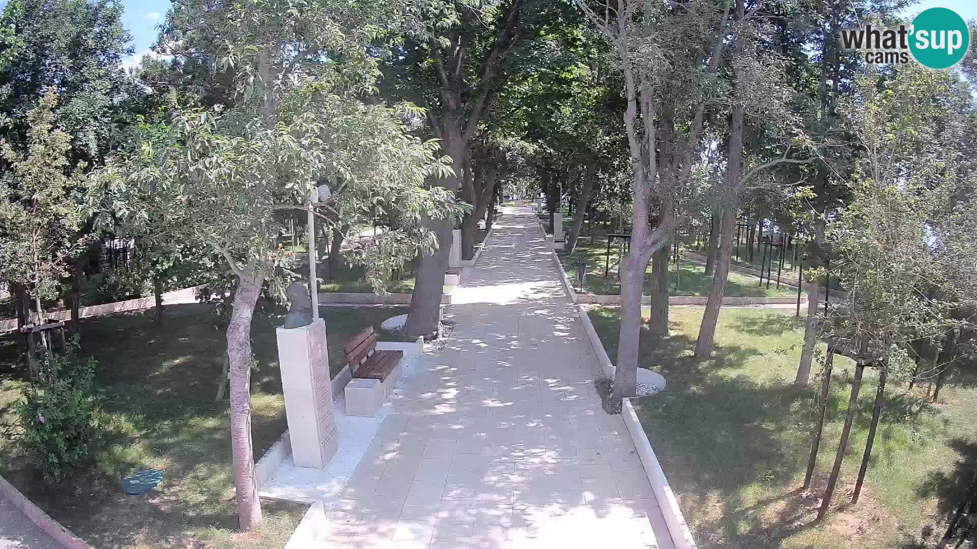 Webcam Parco degli Scrittori Segna – Diretta sul Mare