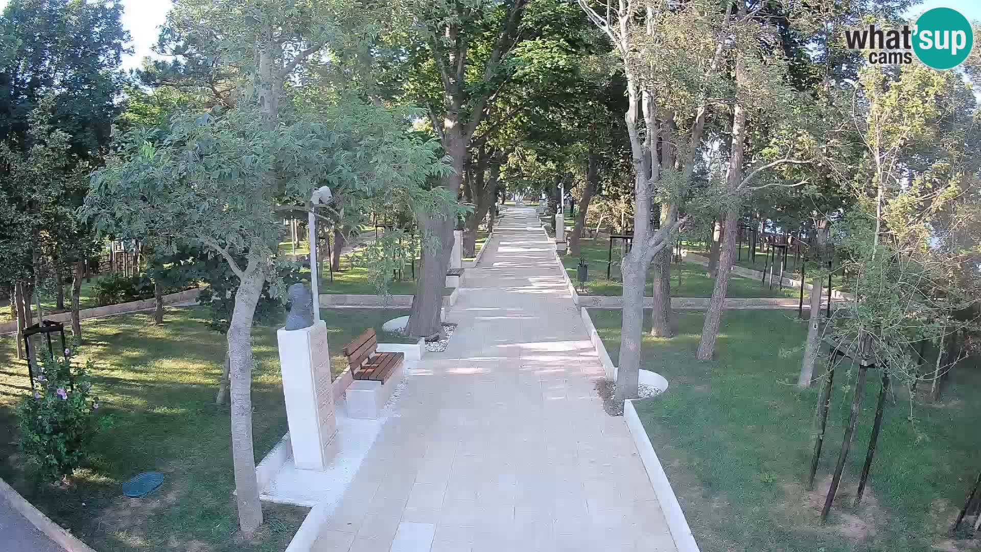 Webcam Parco degli Scrittori Segna – Diretta sul Mare