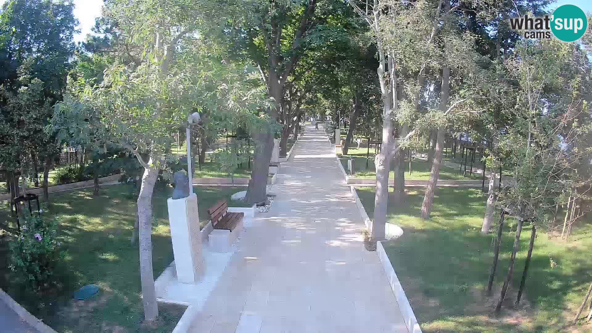 Webcam Parco degli Scrittori Segna – Diretta sul Mare