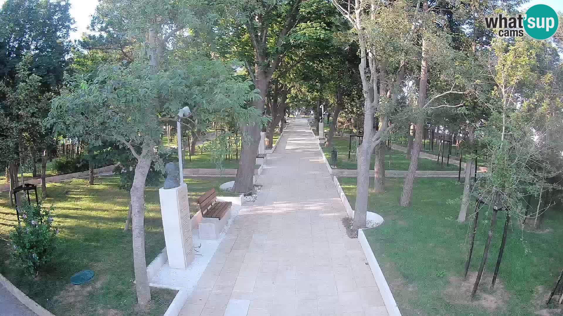Webcam Parco degli Scrittori Segna – Diretta sul Mare